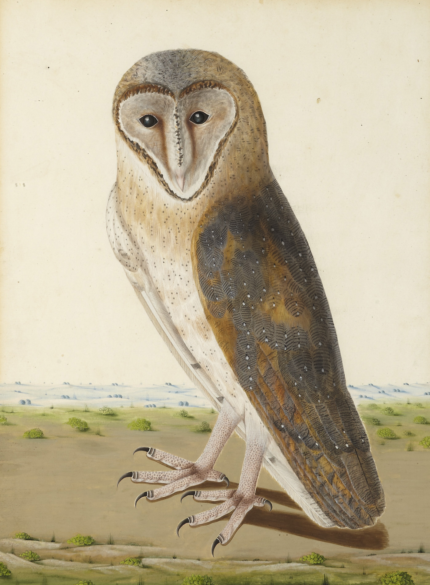 19TH CENTURY ANGLO INDIAN SCHOOL