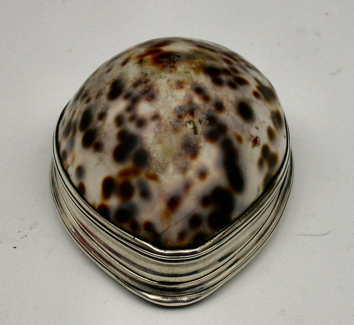 BANFF- a Scottish provincial mounted cowrie shell snuff box,