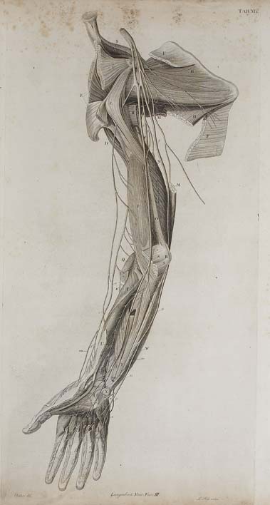 Langenbeck, Conrad Johann Martin