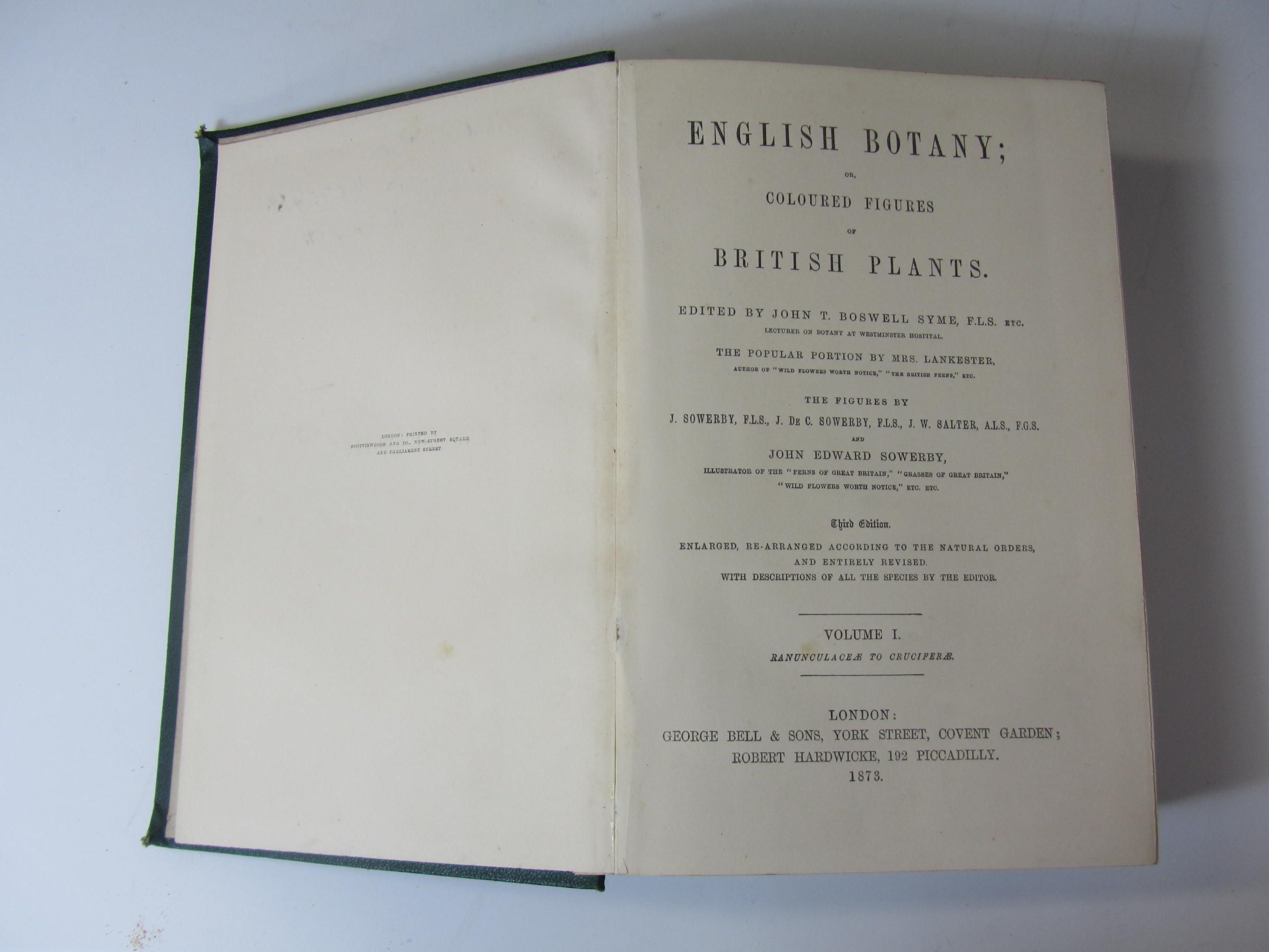 Sowerby, John Edward