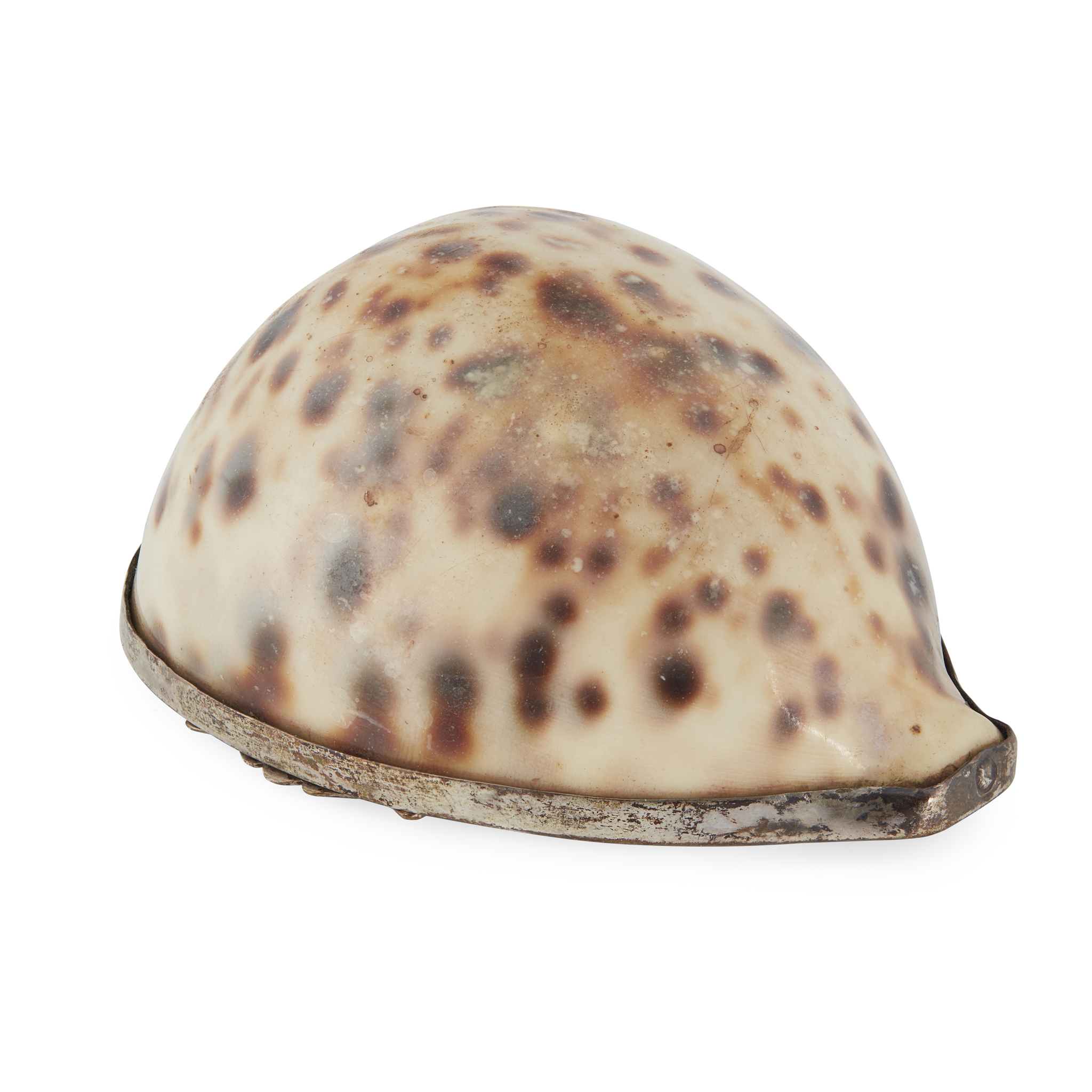 A COWRIE SHELL SNUFF MULL