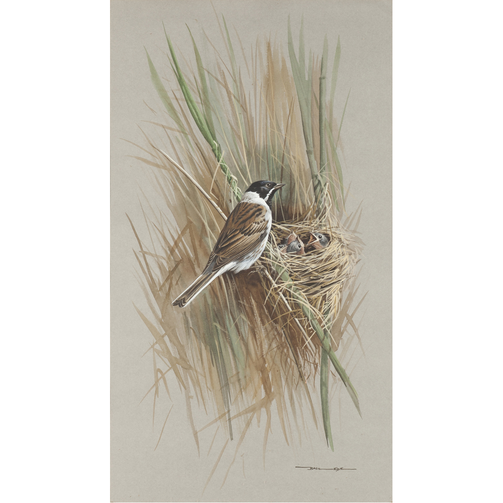 BASIL EDE (BRITISH B.1931)