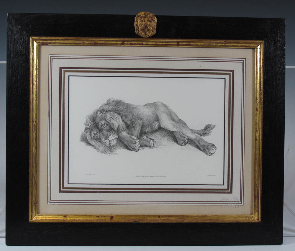 A set of six Regency style decorative prints of African wild cats