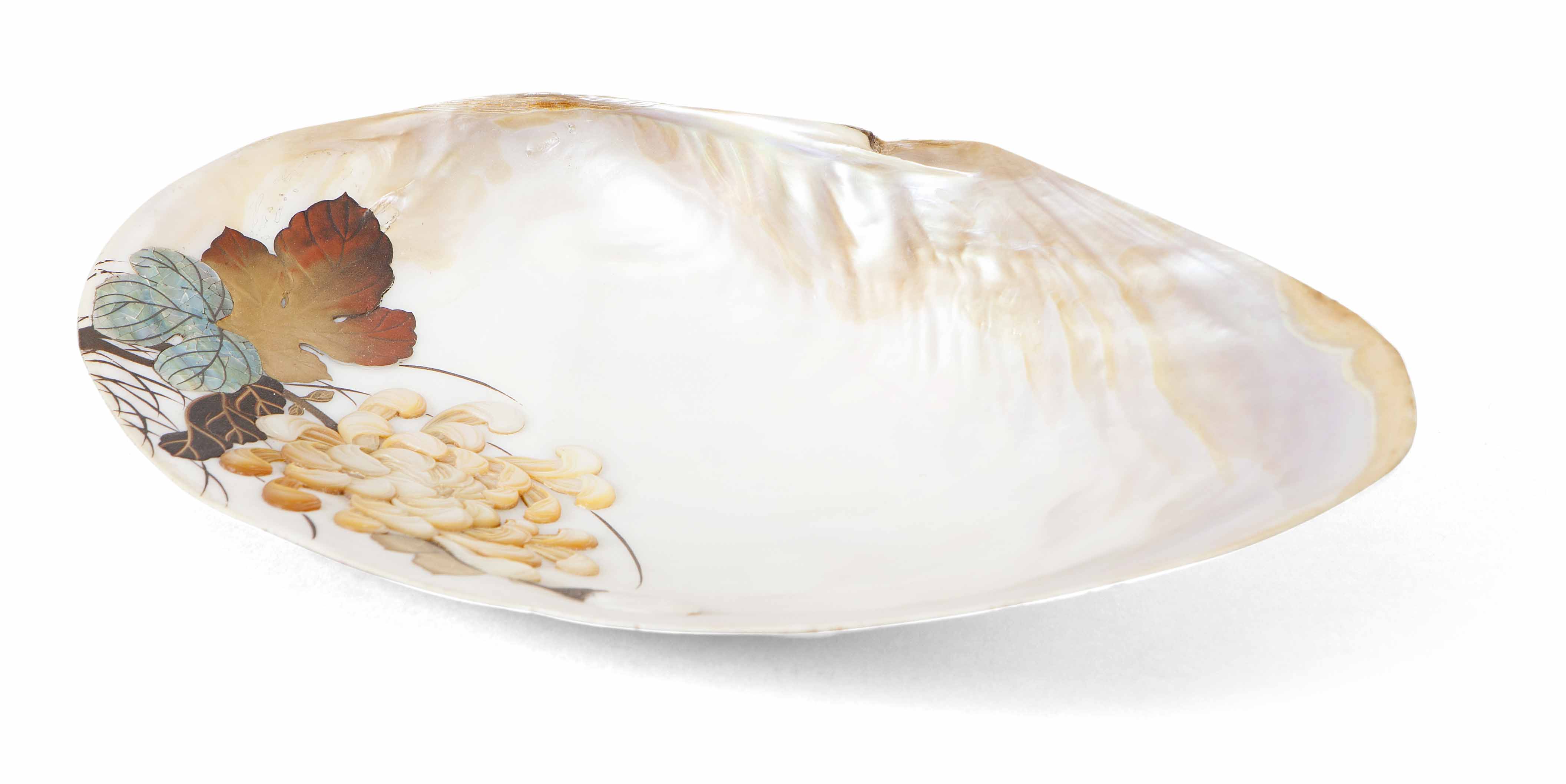 JAPANESE MOTHER OF PEARL SHELL