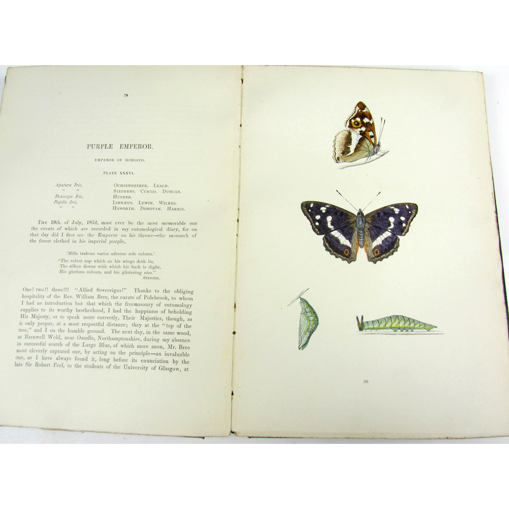 Ornithology & Natural History, 27 volumes, including Morris, Rev. F.O.