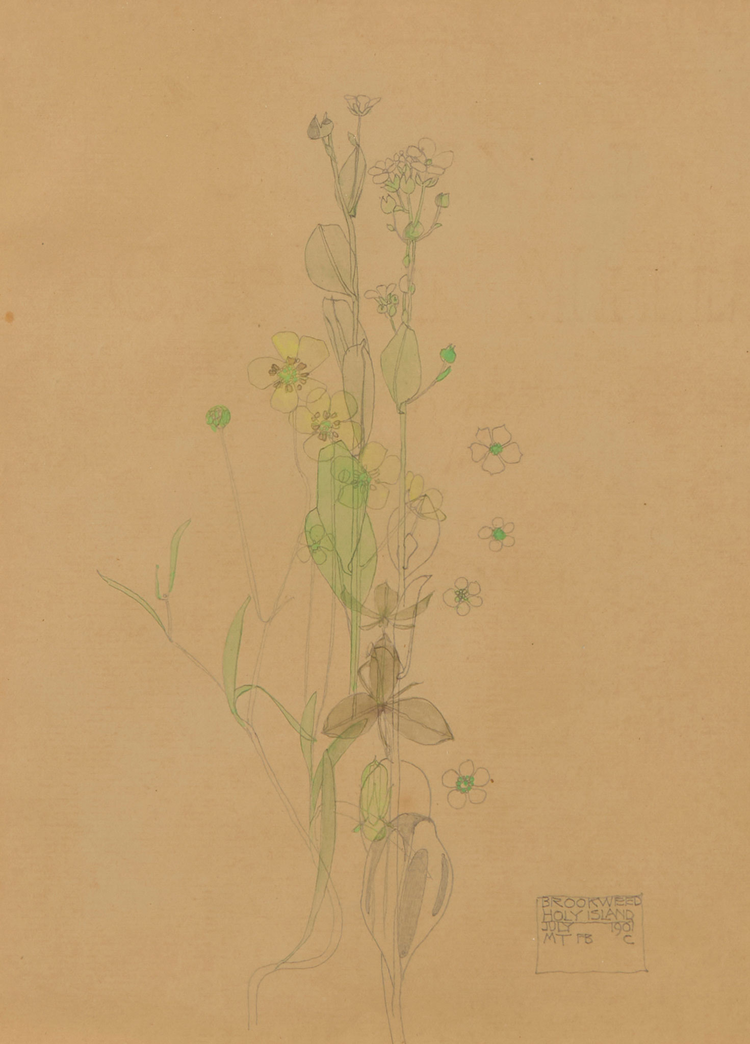 CHARLES RENNIE MACKINTOSH (1868-1928)