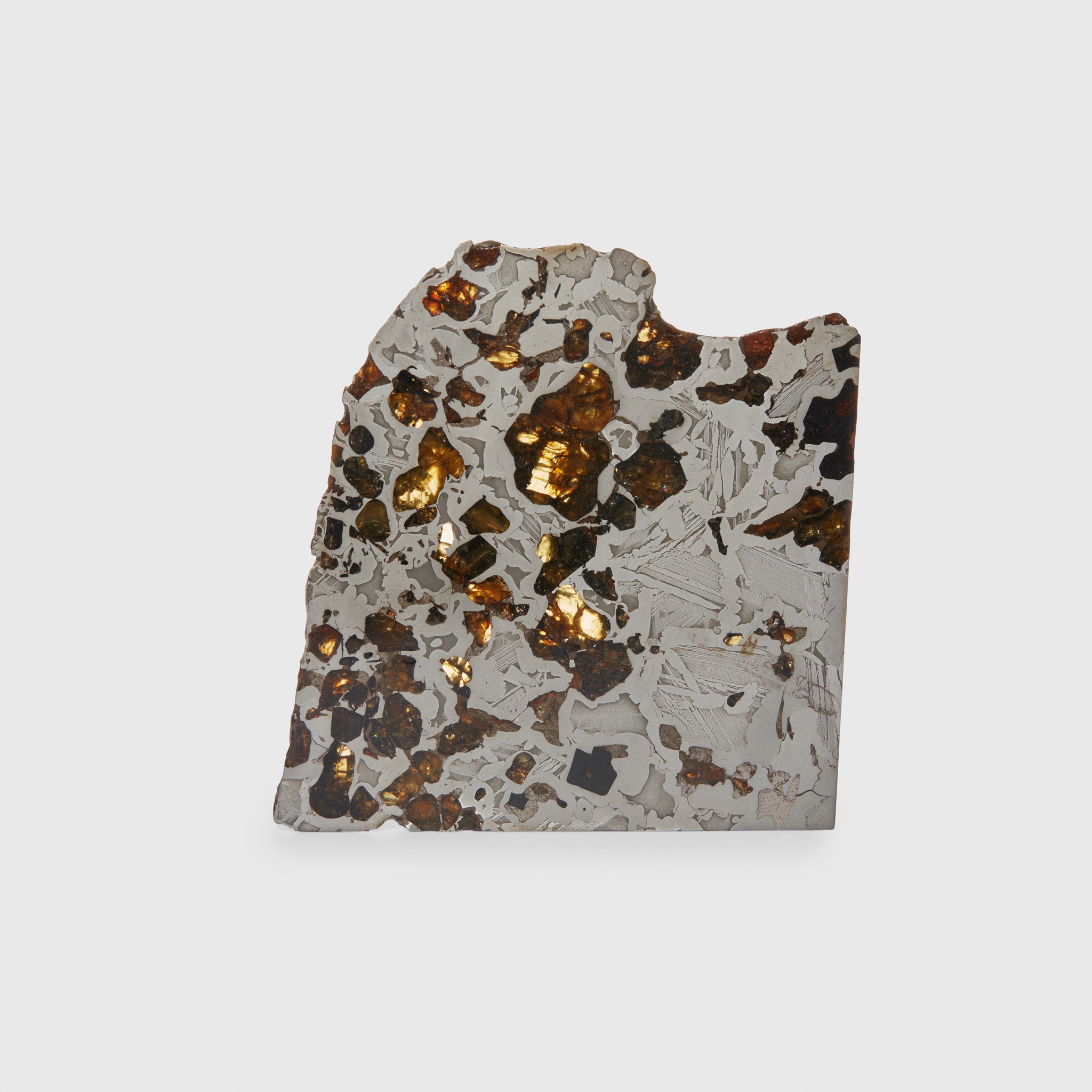 CROSS SECTION OF A PALLASITE METEORITE