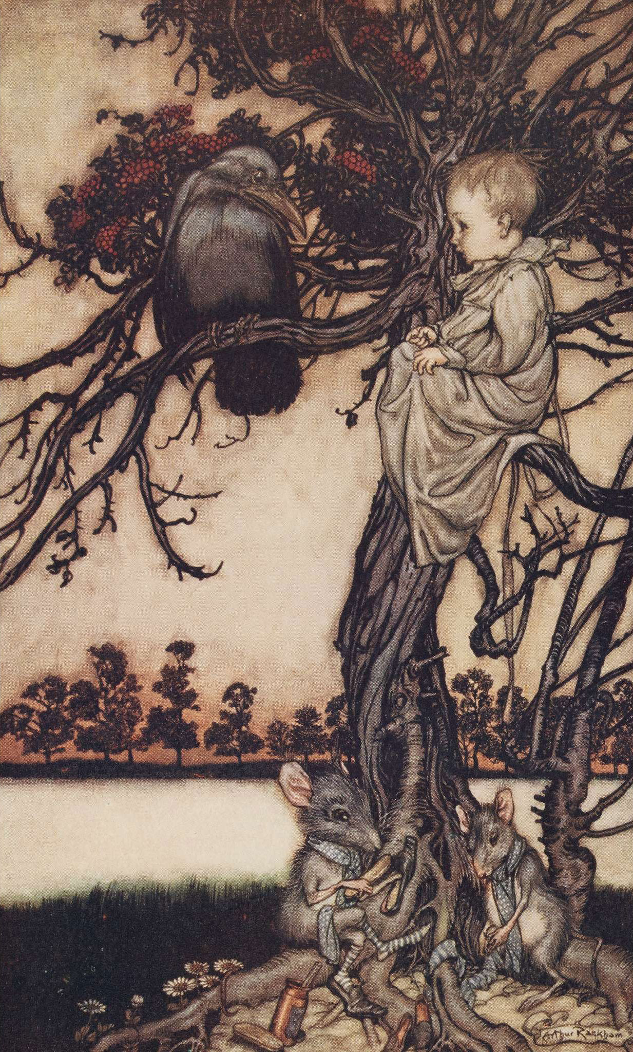 Rackham, Arthur, illustrator - J.M. Barrie