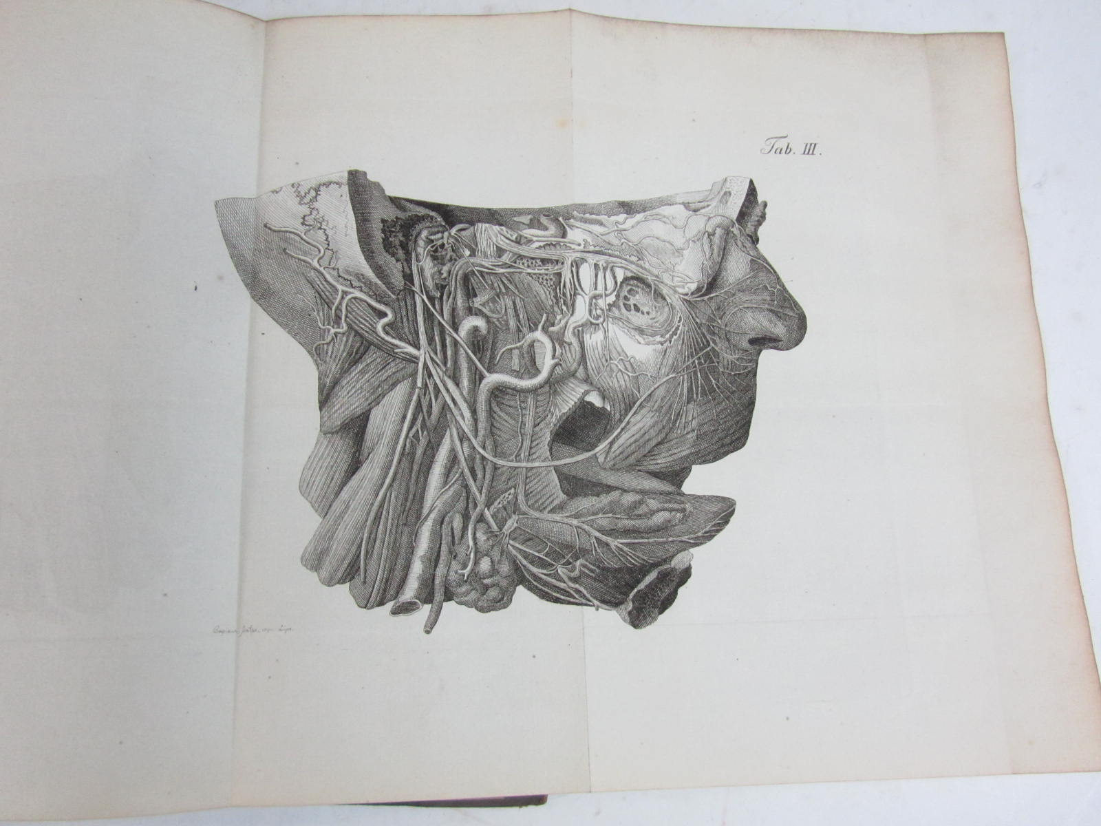 Ludwig, Christian Frederik