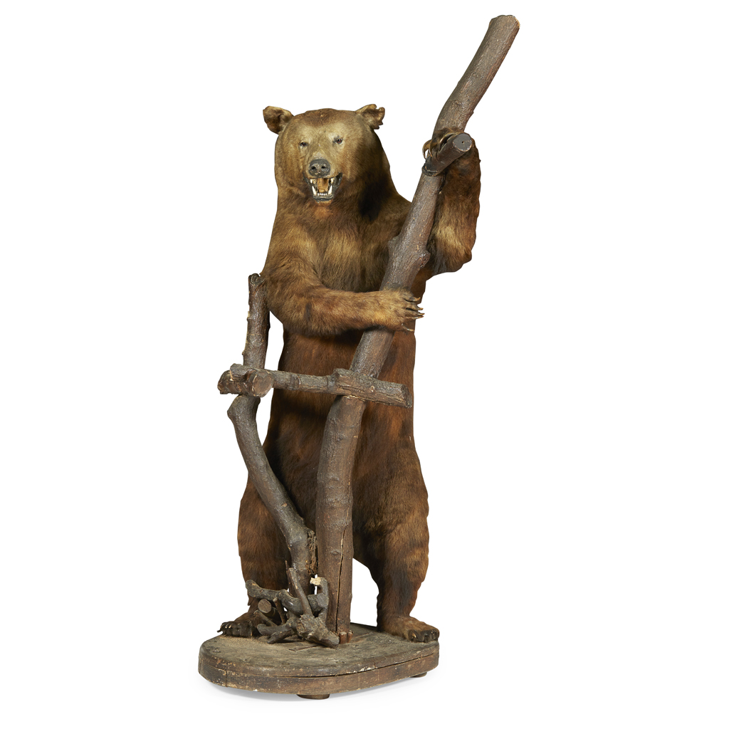 FULL MOUNT TAXIDERMY BROWN BEAR