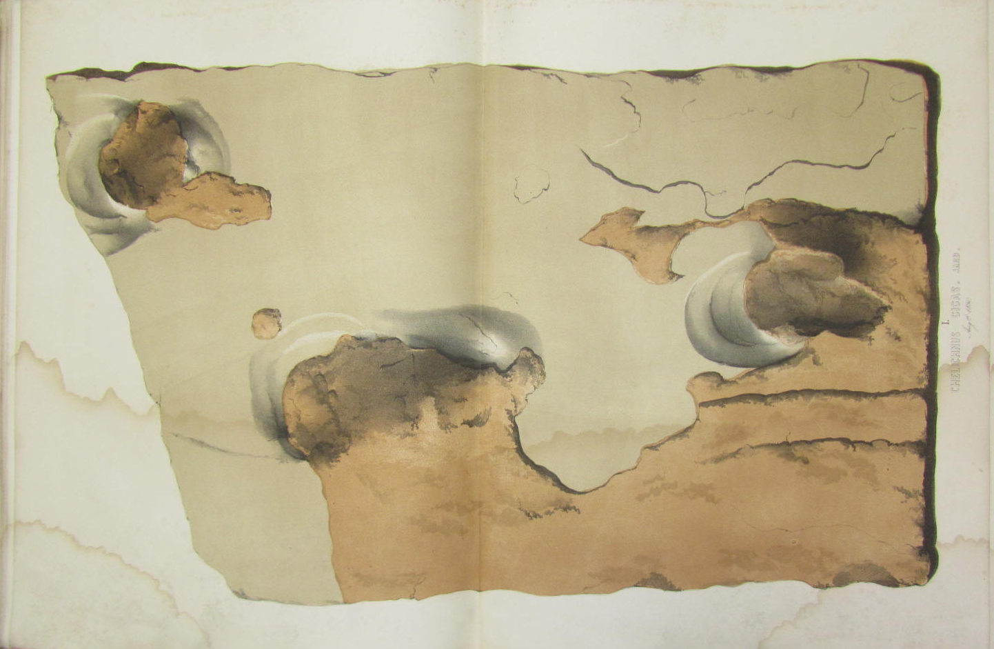 Paleontology - Ichnology - Jardine, Sir William