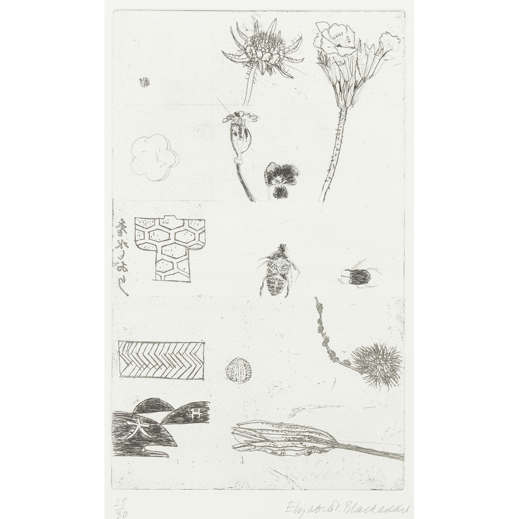 DAME ELIZABETH BLACKADDER D.B.E., R.A., R.S.A. (SCOTTISH 1931 - 2021)