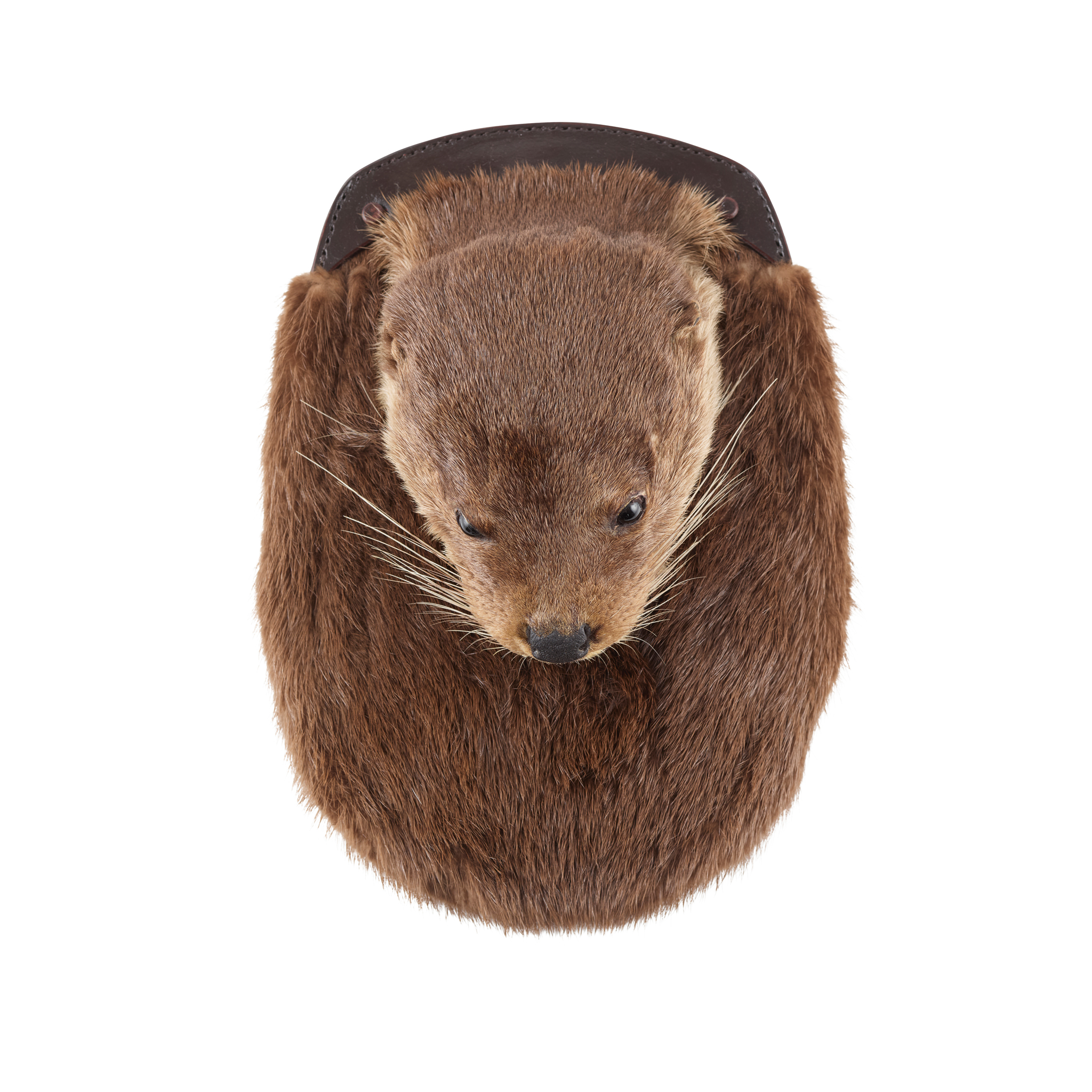 AN OTTER MASK SPORRAN