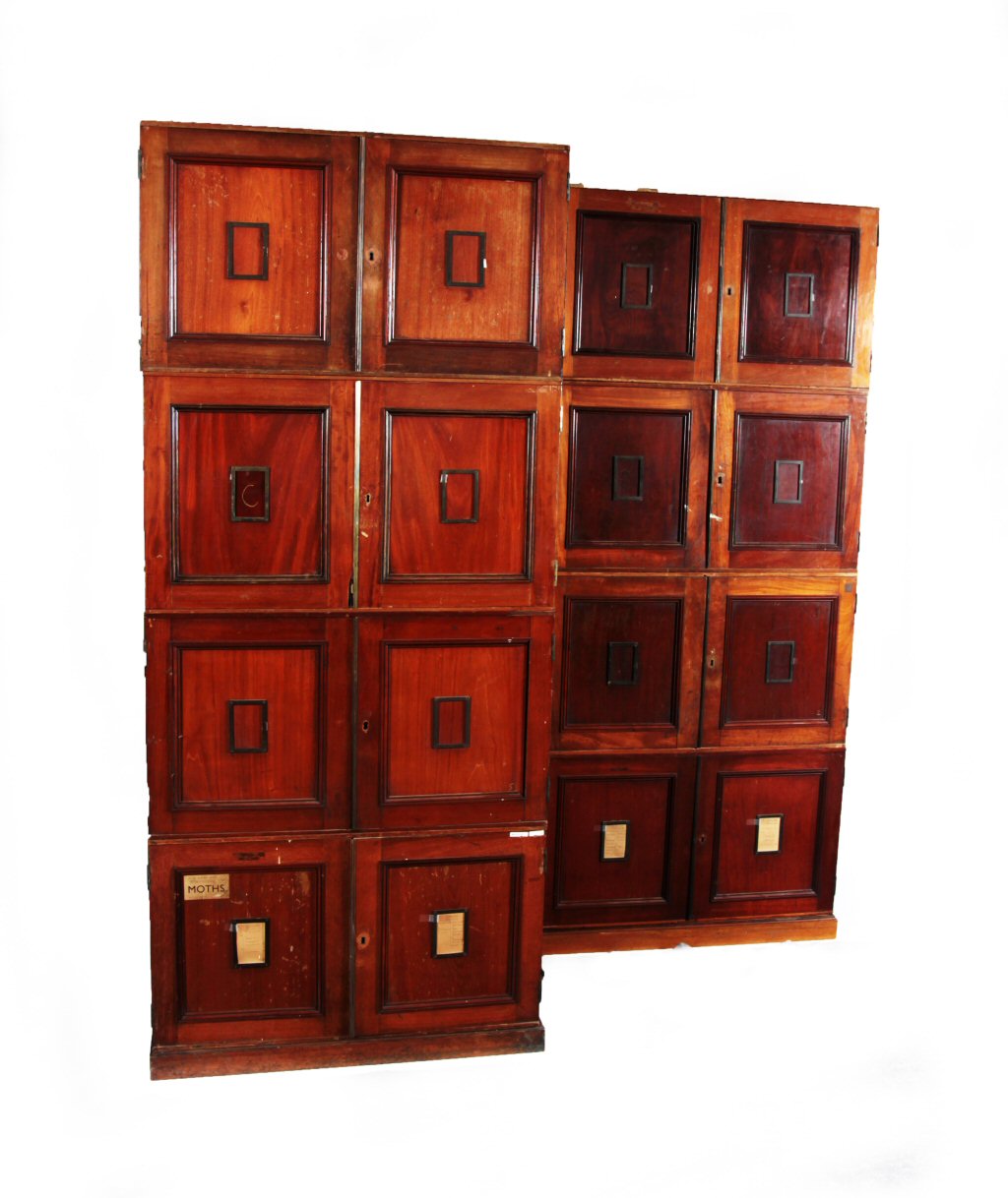 PAIR OF VICTORIAN MAHOGANY SECTIONAL SPECIMEN CABINETS