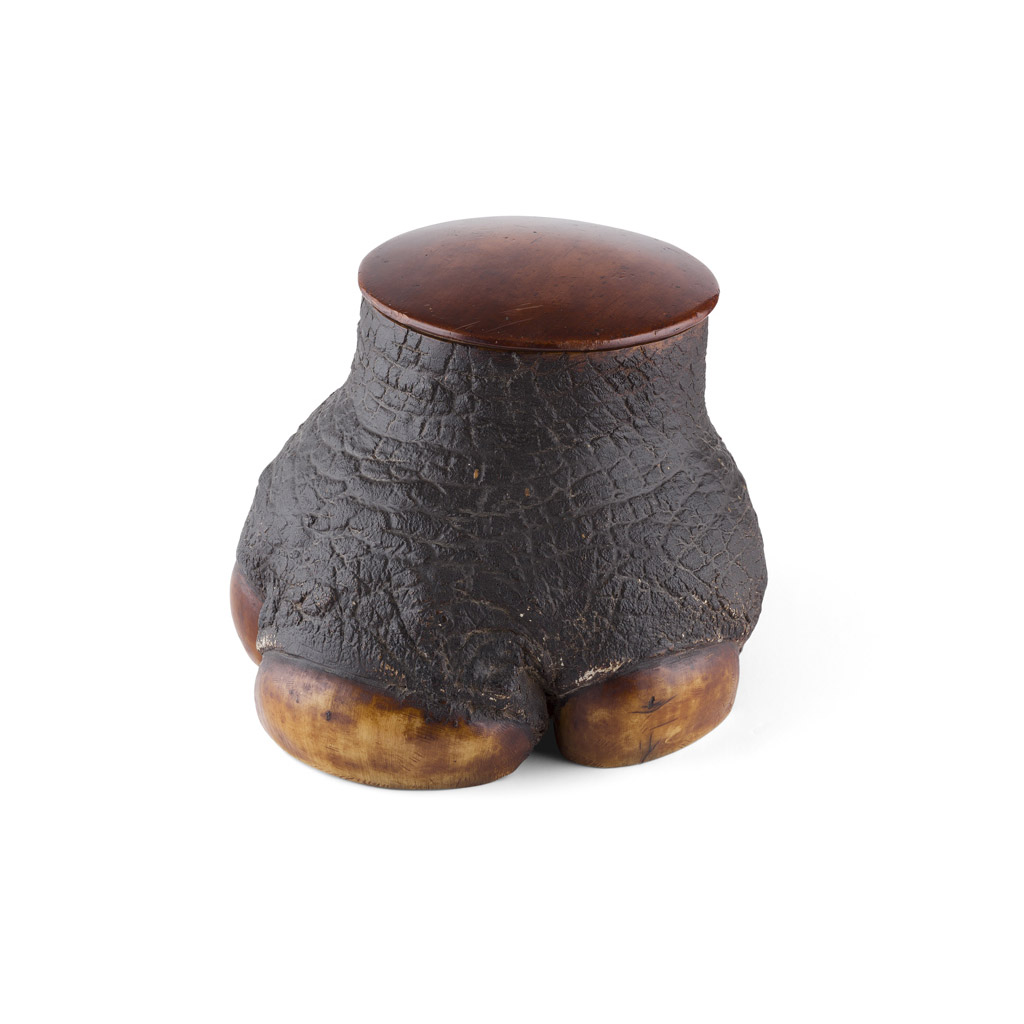 TAXIDERMY RHINO FOOT HUMIDOR