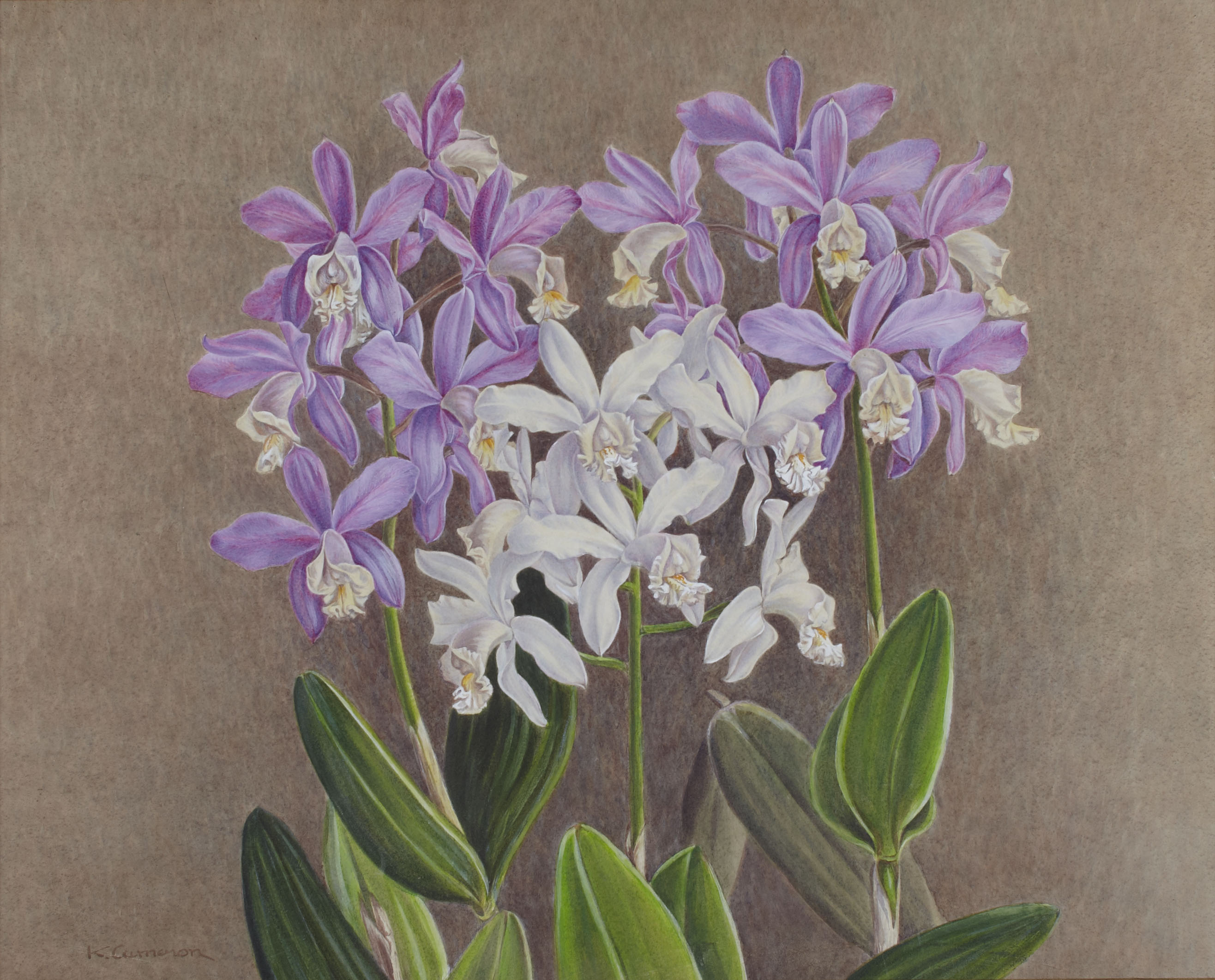 KATE CAMERON R.S.W., R.E (SCOTTISH 1874-1965)