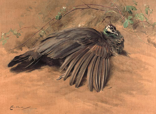 EDWIN ALEXANDER R.S.A., R.S.W., R.W.S (1870-1926)