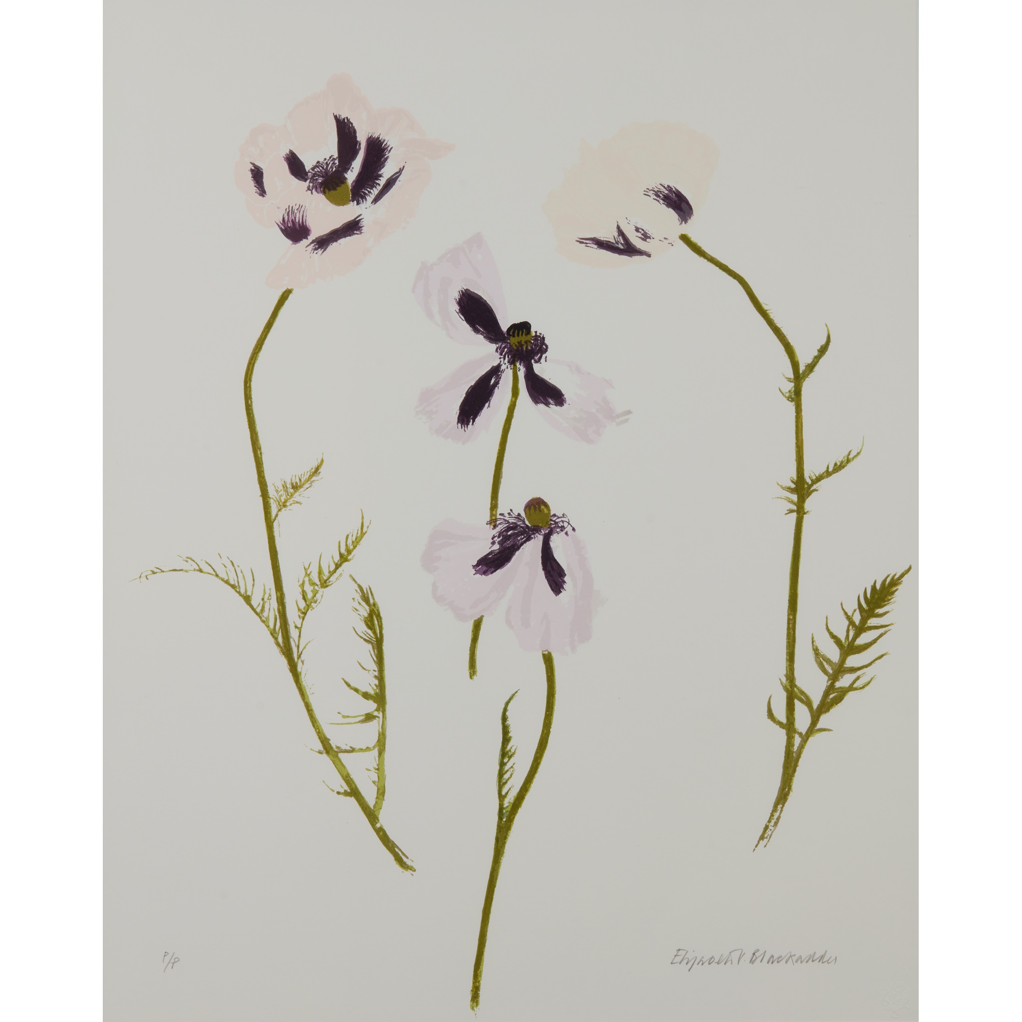 DAME ELIZABETH BLACKADDER O.B.E., R.A., R.S.A., R.S.W., R.G.I., D.Litt (SCOTTISH 1931-2021)