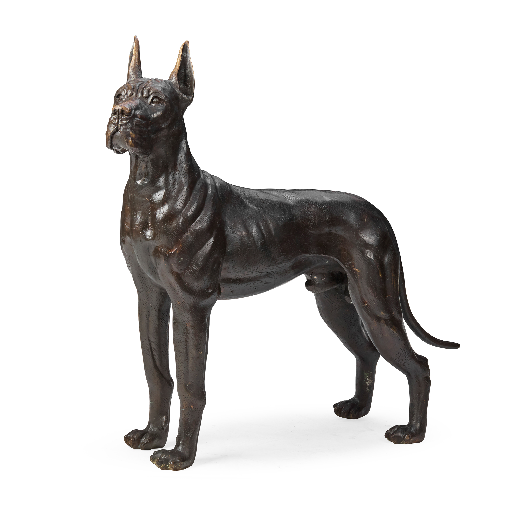 PATINATED LIFE SIZE BRONZE GREAT DANE