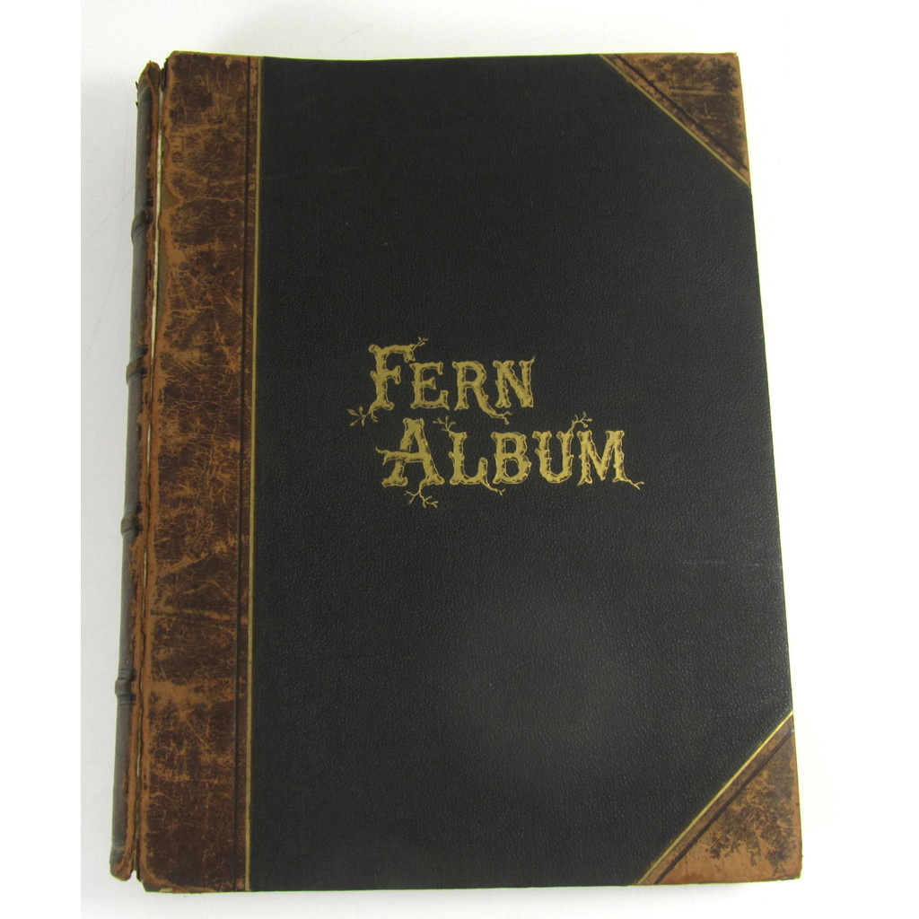 Fern Specimen Collection