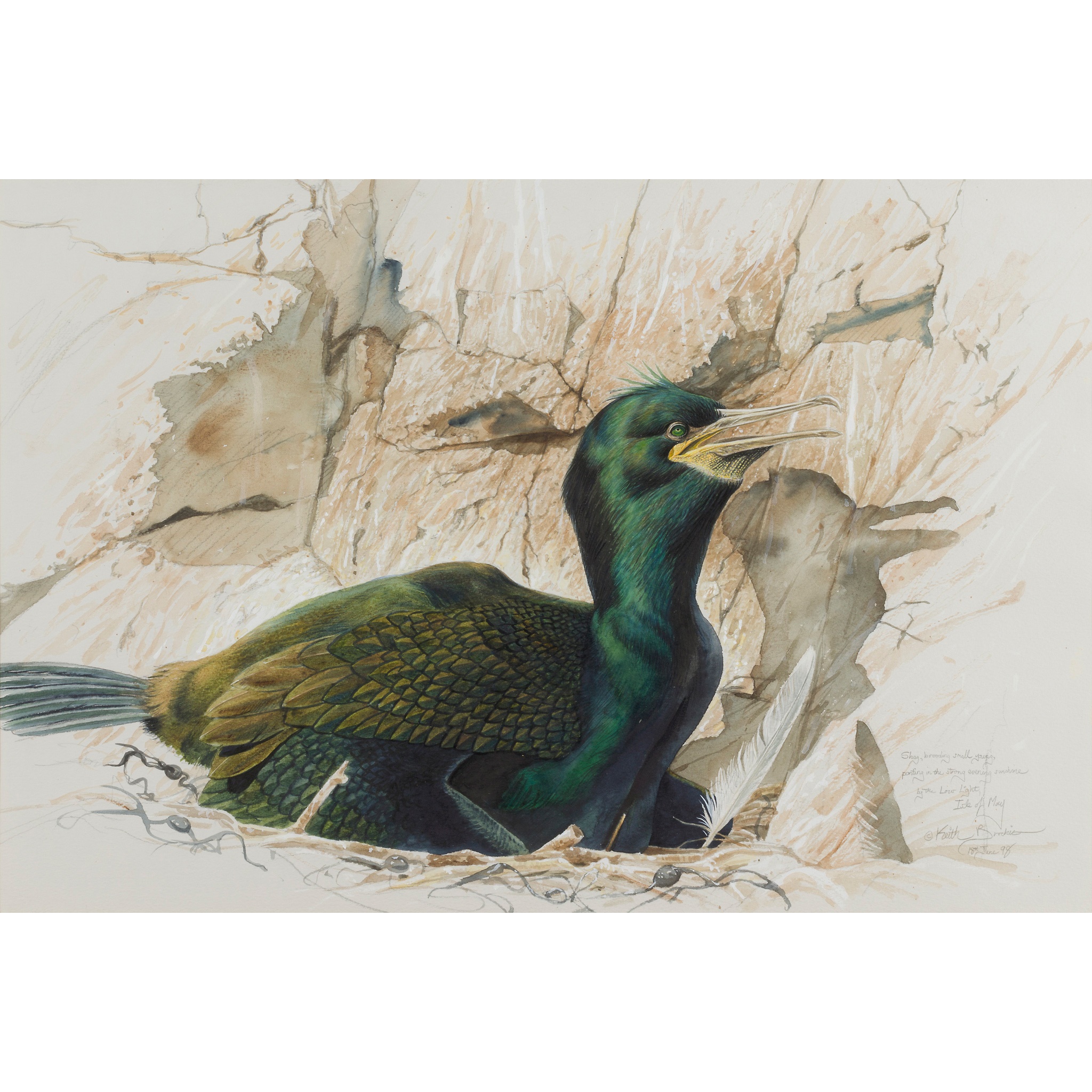 KEITH BROCKIE (BRITISH 1955-)