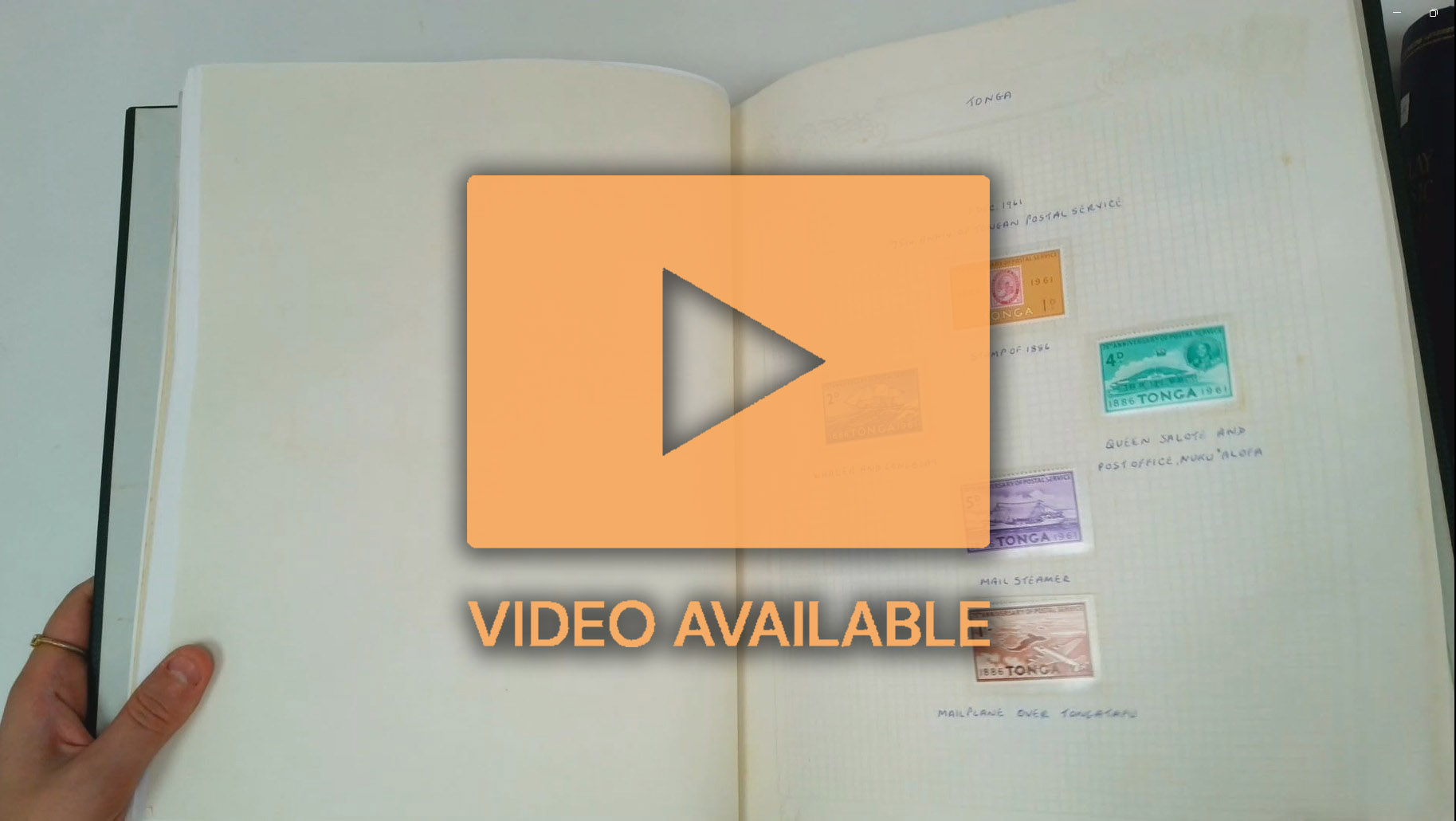 BRITISH COMMONWEALTH QEII mint collection, neatly displayed in16 albums, in three cartons, including Aden 1953 to 20s (3), 