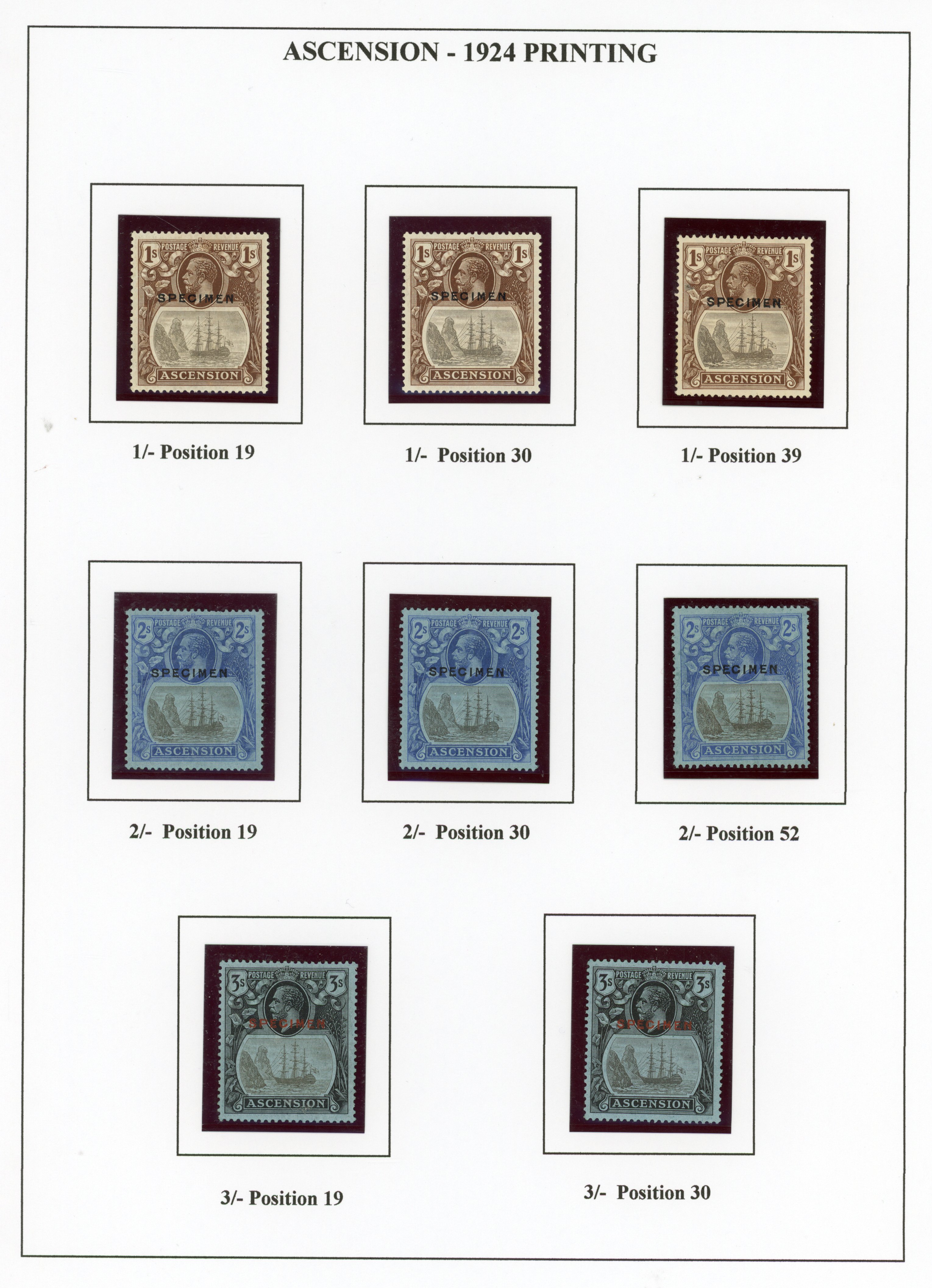 Ascension SG 10s-20s positioned Specimens