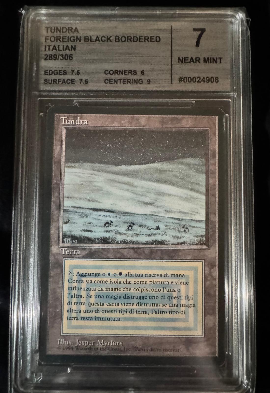 Magic The Gathering - Tundra - Foreign Black Boarder, Italian - CMG 7 Near Mint