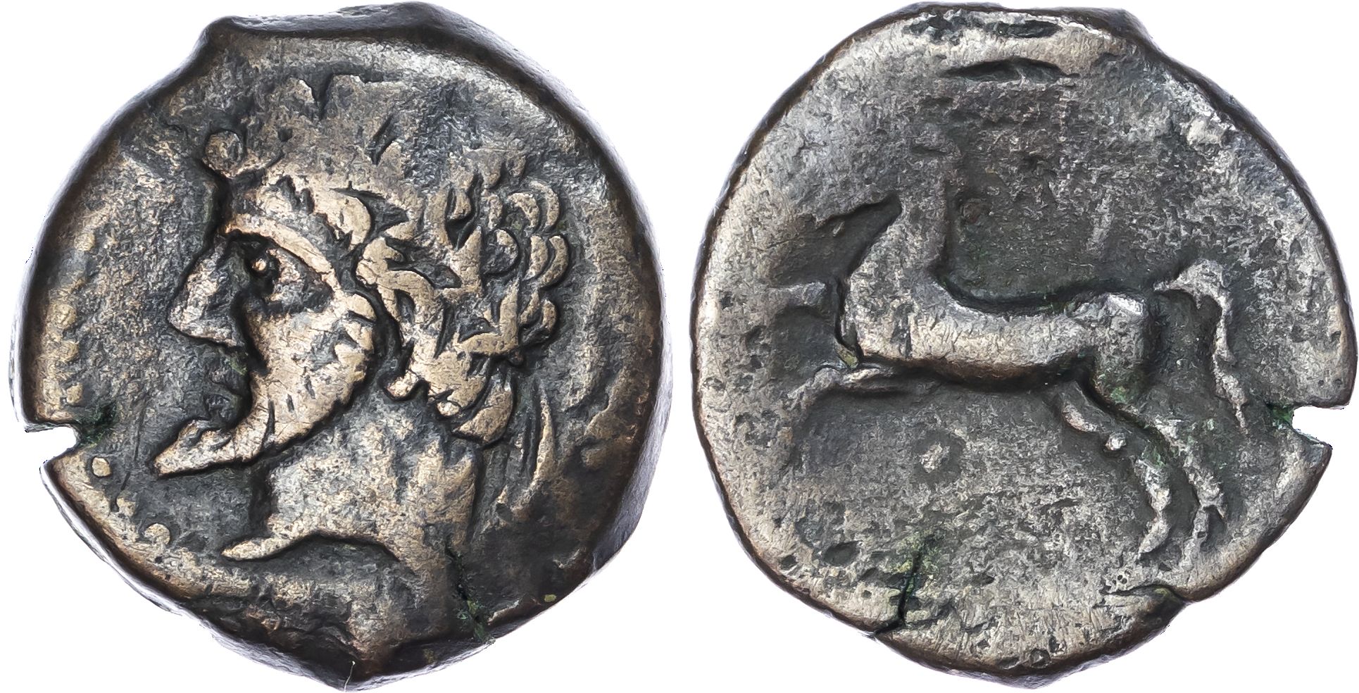 Numidia, Massinissa or Micipsa (c. 203-148 BC or 148-118 BC) AE Unit