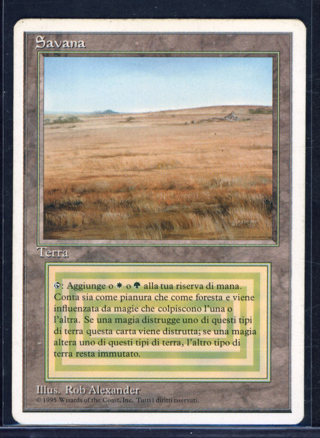 Magic The Gathering - Savannah - Foreign White Boarder - MOD Play 