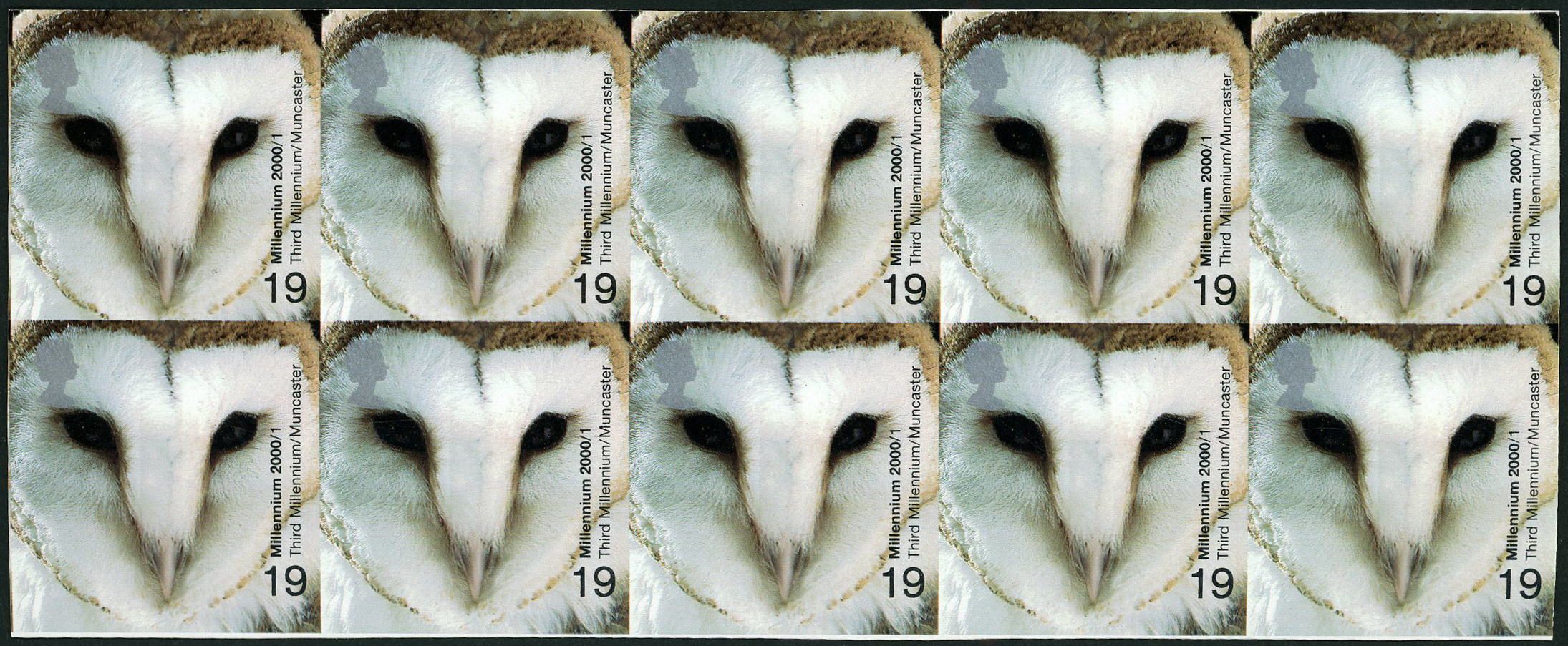 GB: 2000 19p Barn Owl Millennium Projects (1st series) imperforate proof block of 10 (5x2) unused
