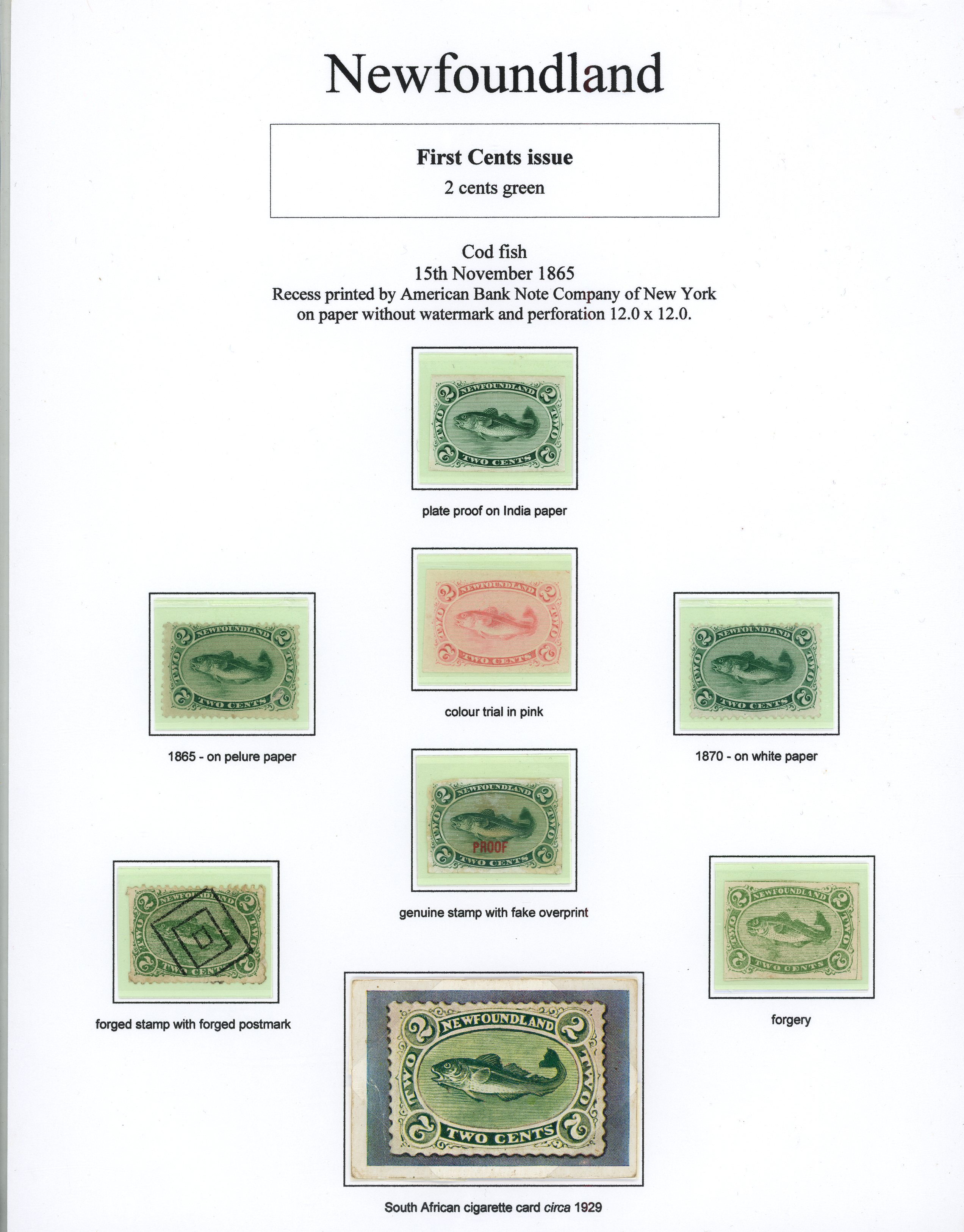 Newfoundland 1865-1870 first cents issues collection on pages...
