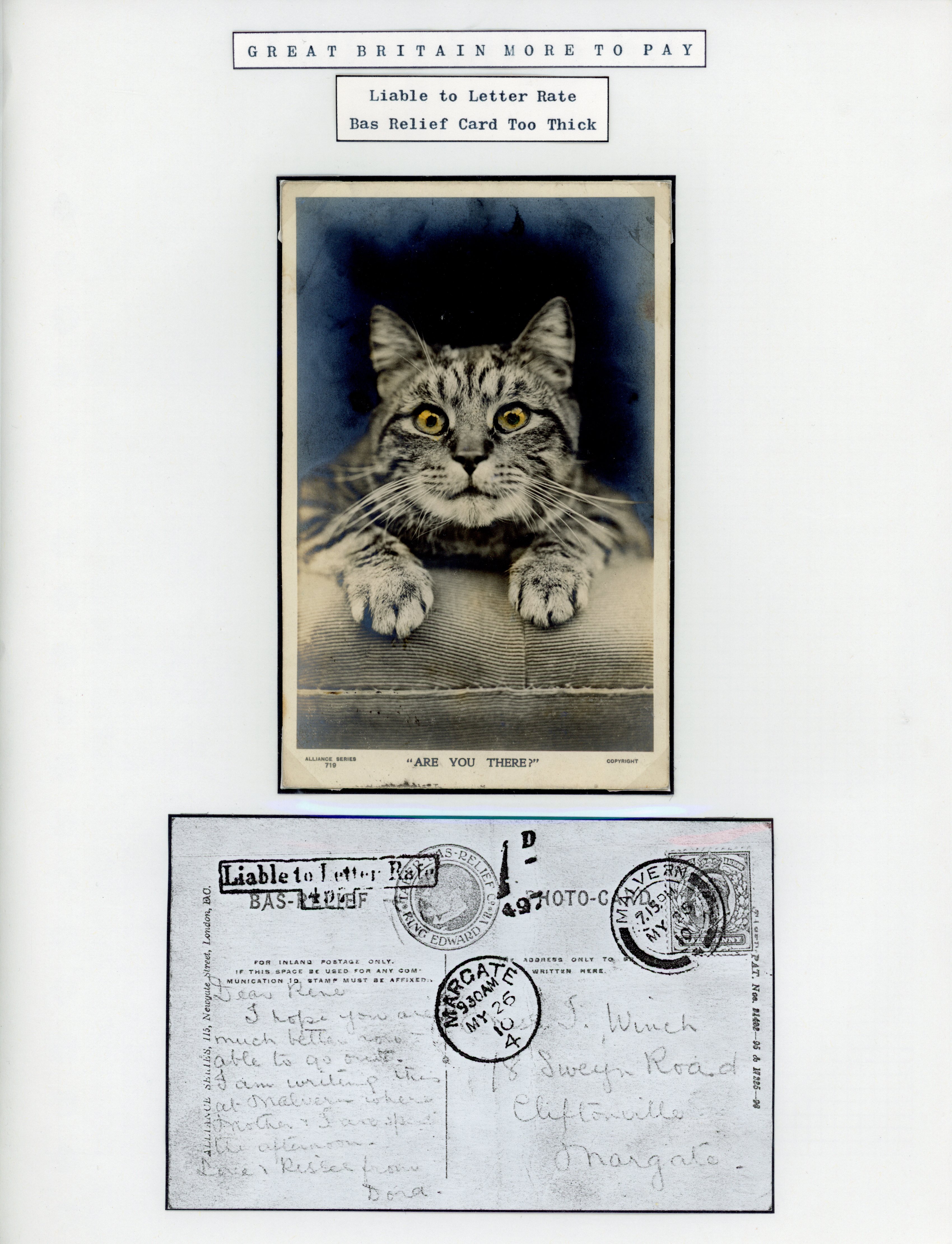 Great Britain 1910 bas-relief postcard depicting a cat