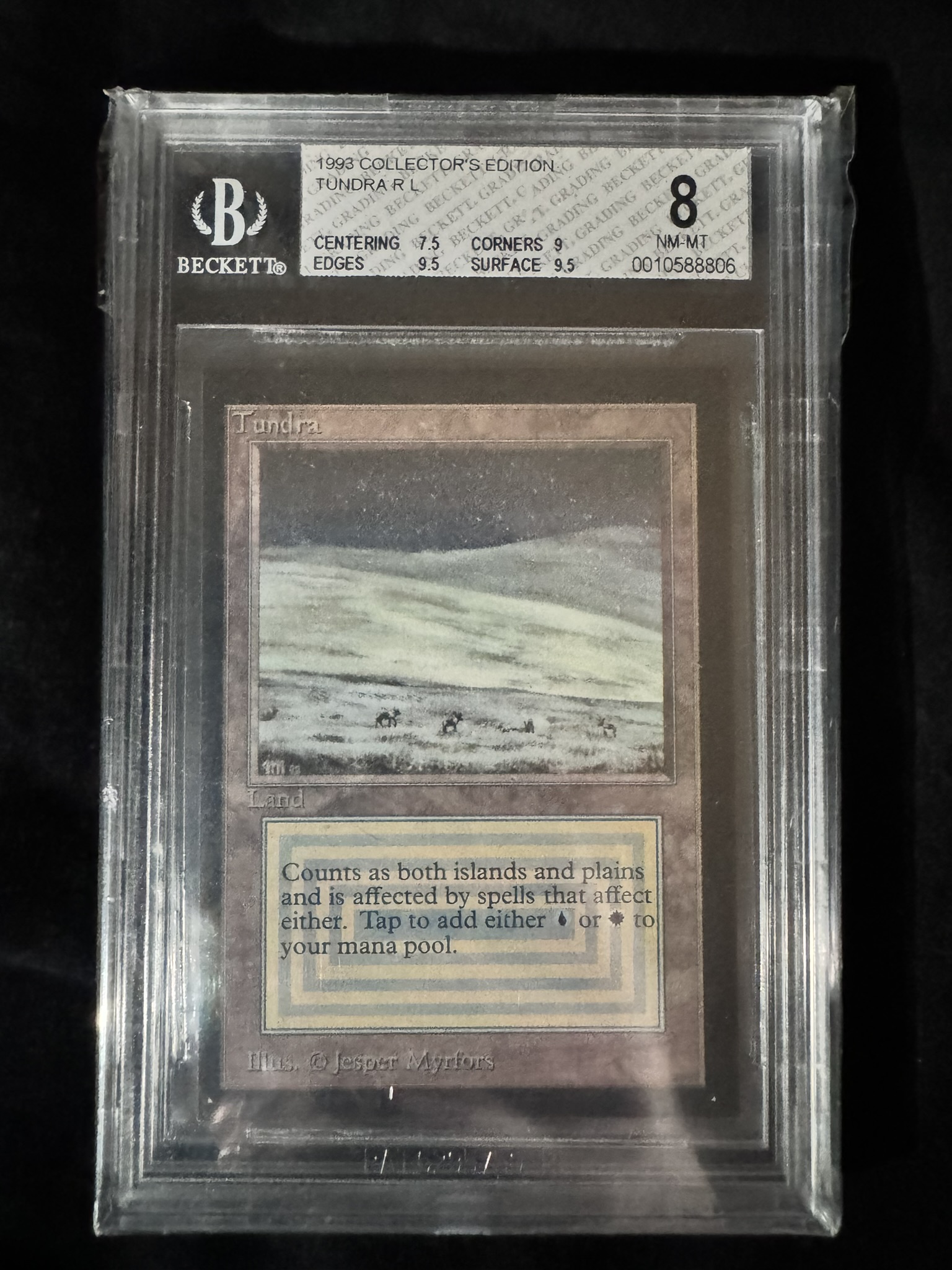 Magic The Gathering - Tundra Collectors Edition - Beckett 8 NM-MT