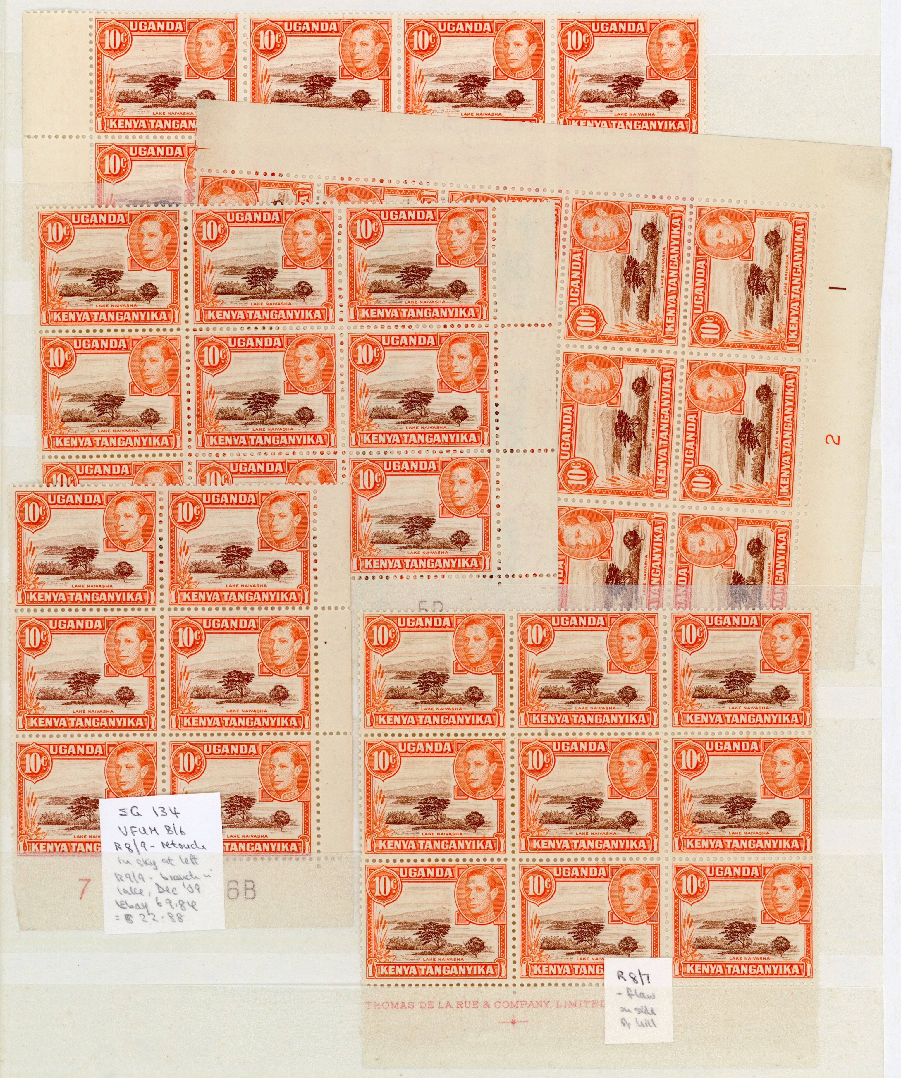 KUT SG 134, c multiples mint