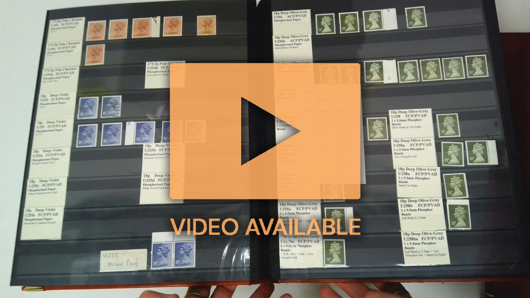 Great Britain QV-QEII mixed mint and used collection housed in assorted volumes in 3 cartons