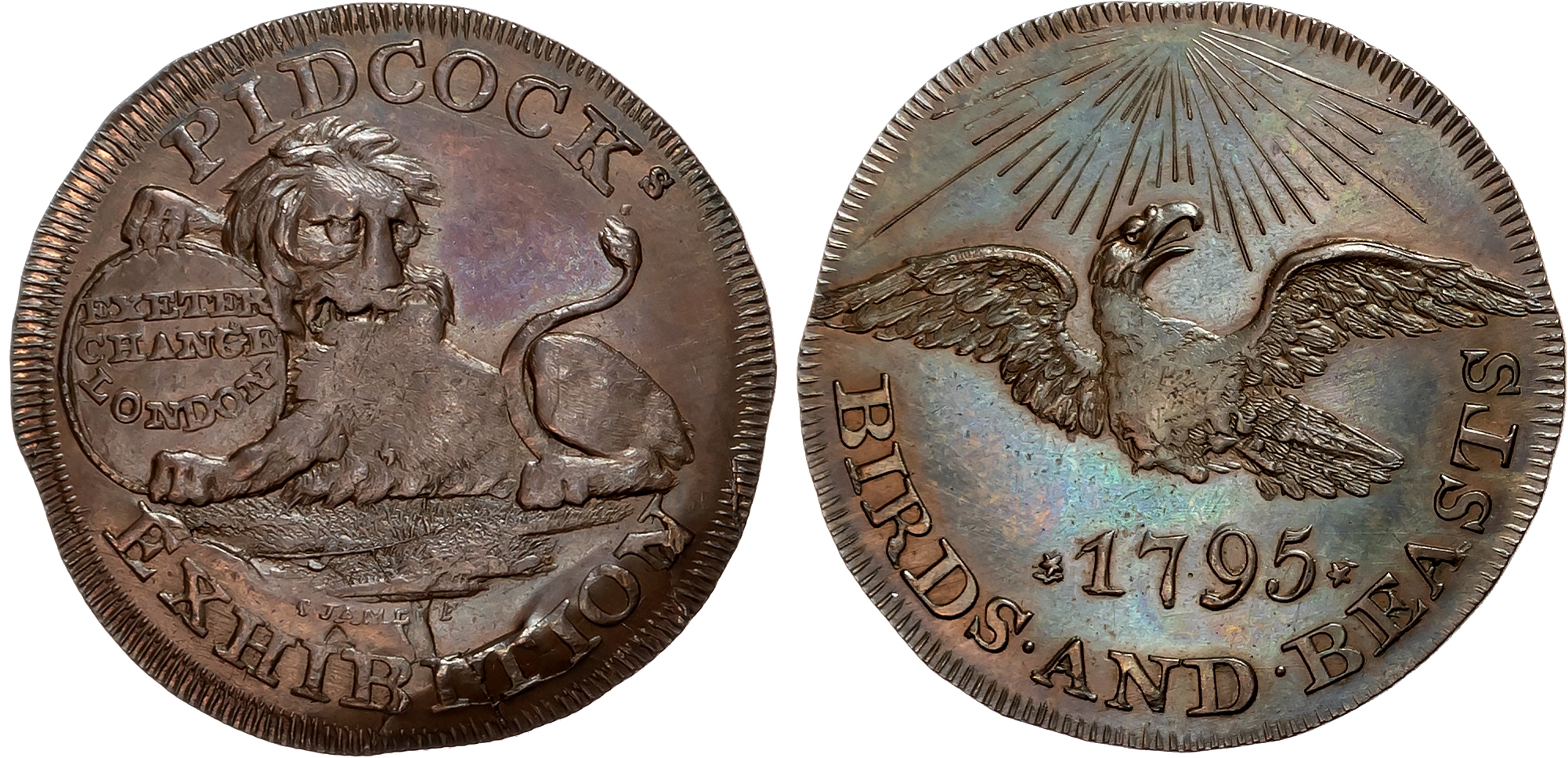 London, Strand, Gilbert Pidcock (zoo/menagerie owner) Halfpenny 1795, Lion holding oval bearing address, rev . Eagle fly …