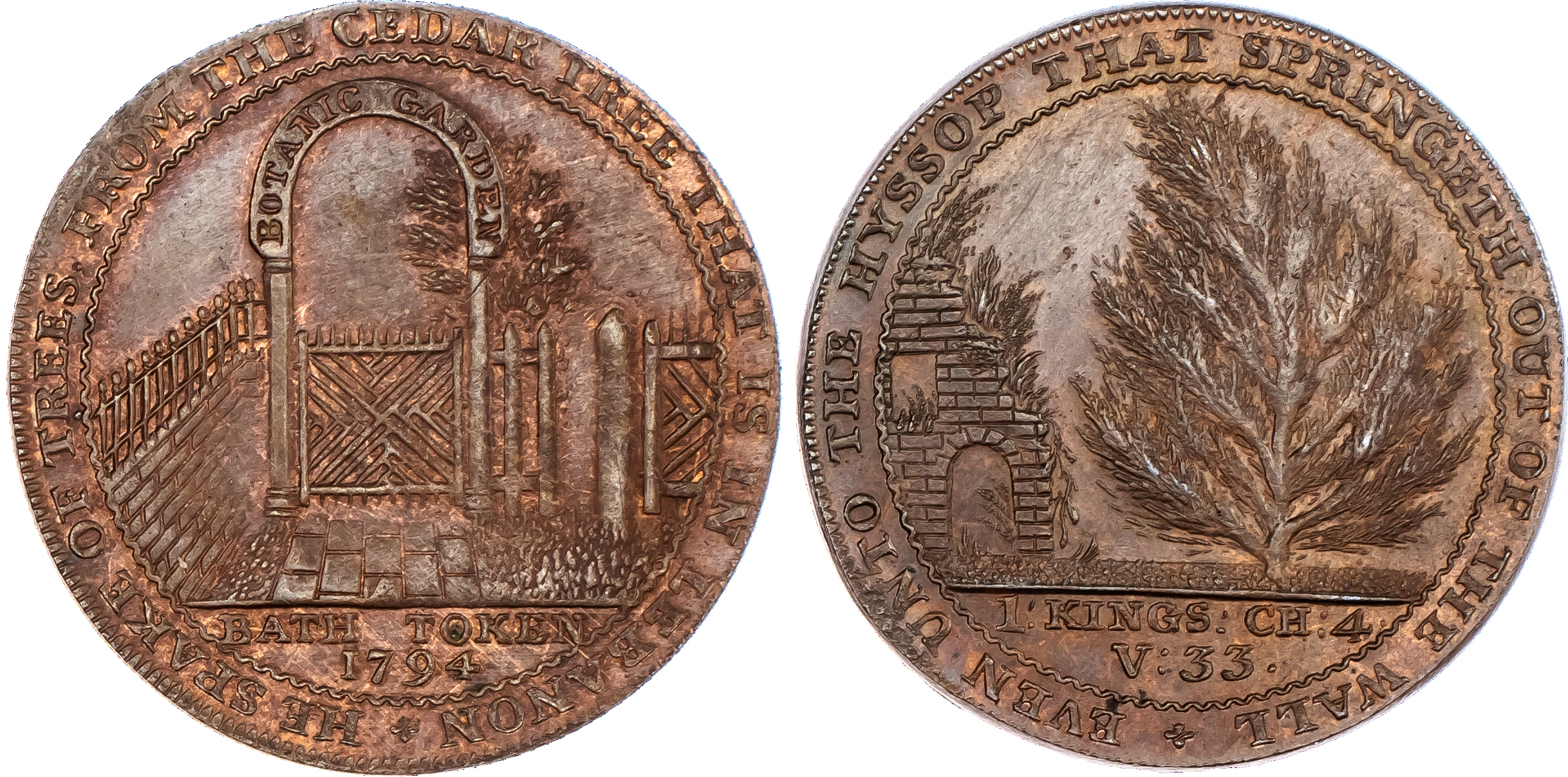 Bath, John Jelly (Botanic Garden...