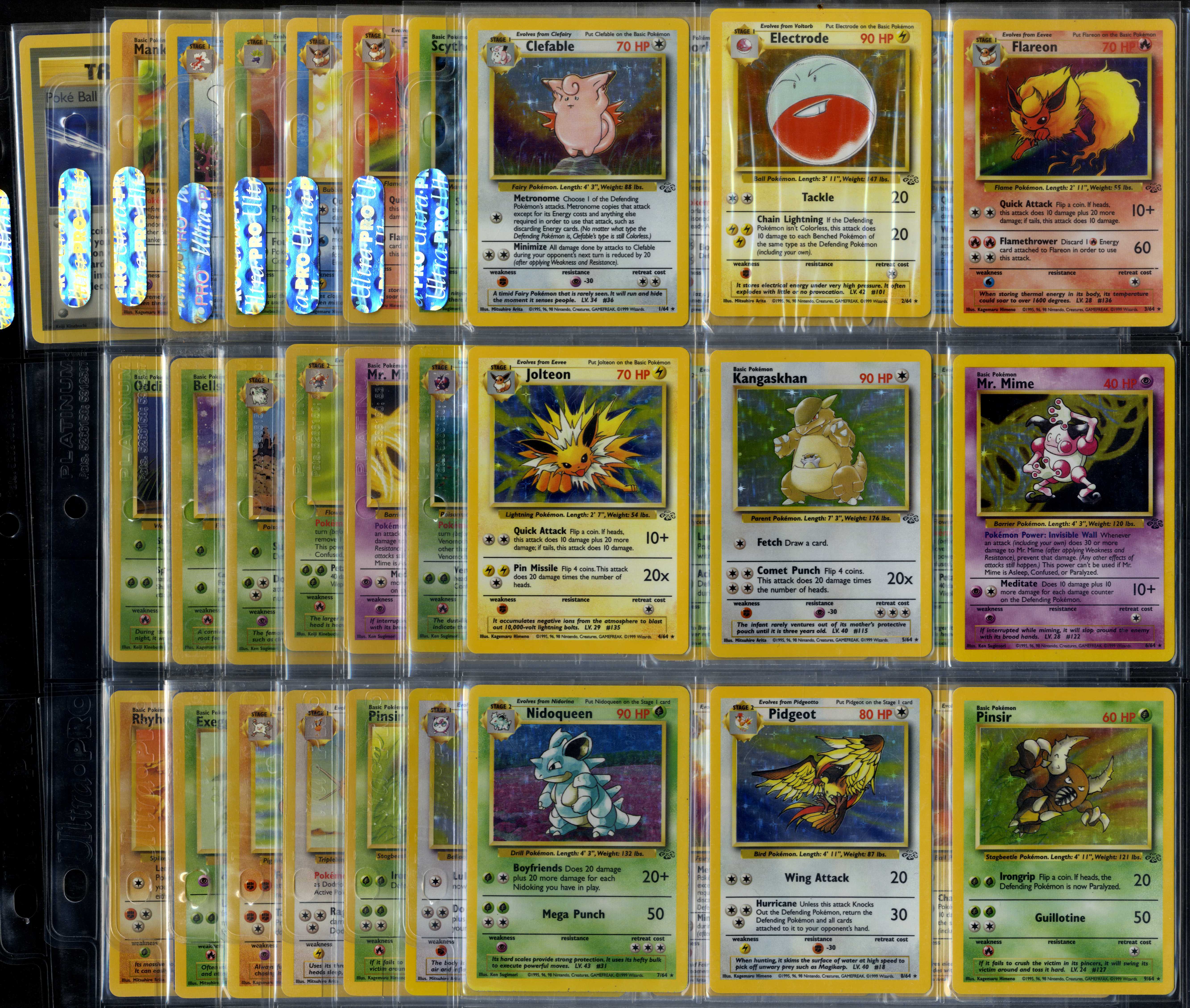 Complete Jungle Set - 64/64 - Unlimited