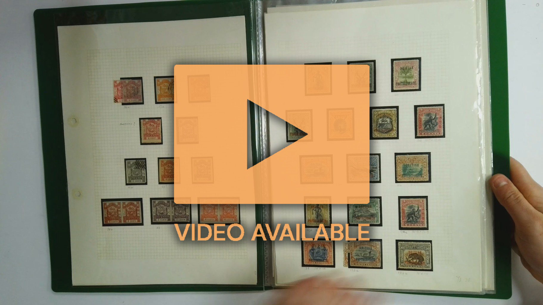 North Borneo: 1888-1959 predominately mint collection arranged in a green folder