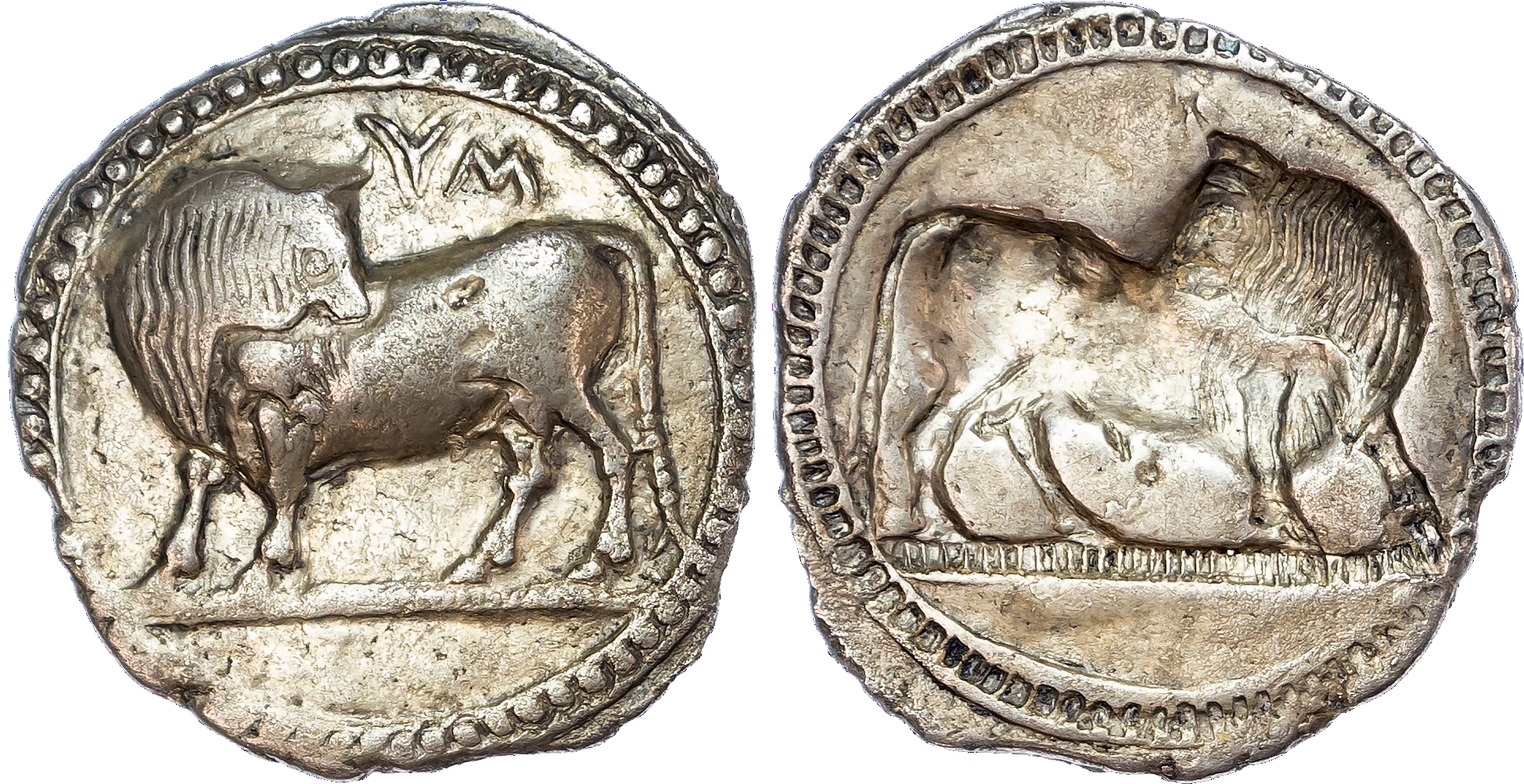 Lucania, Sybaris (c. 550-510 BC) AR Nomos, 7.25g.