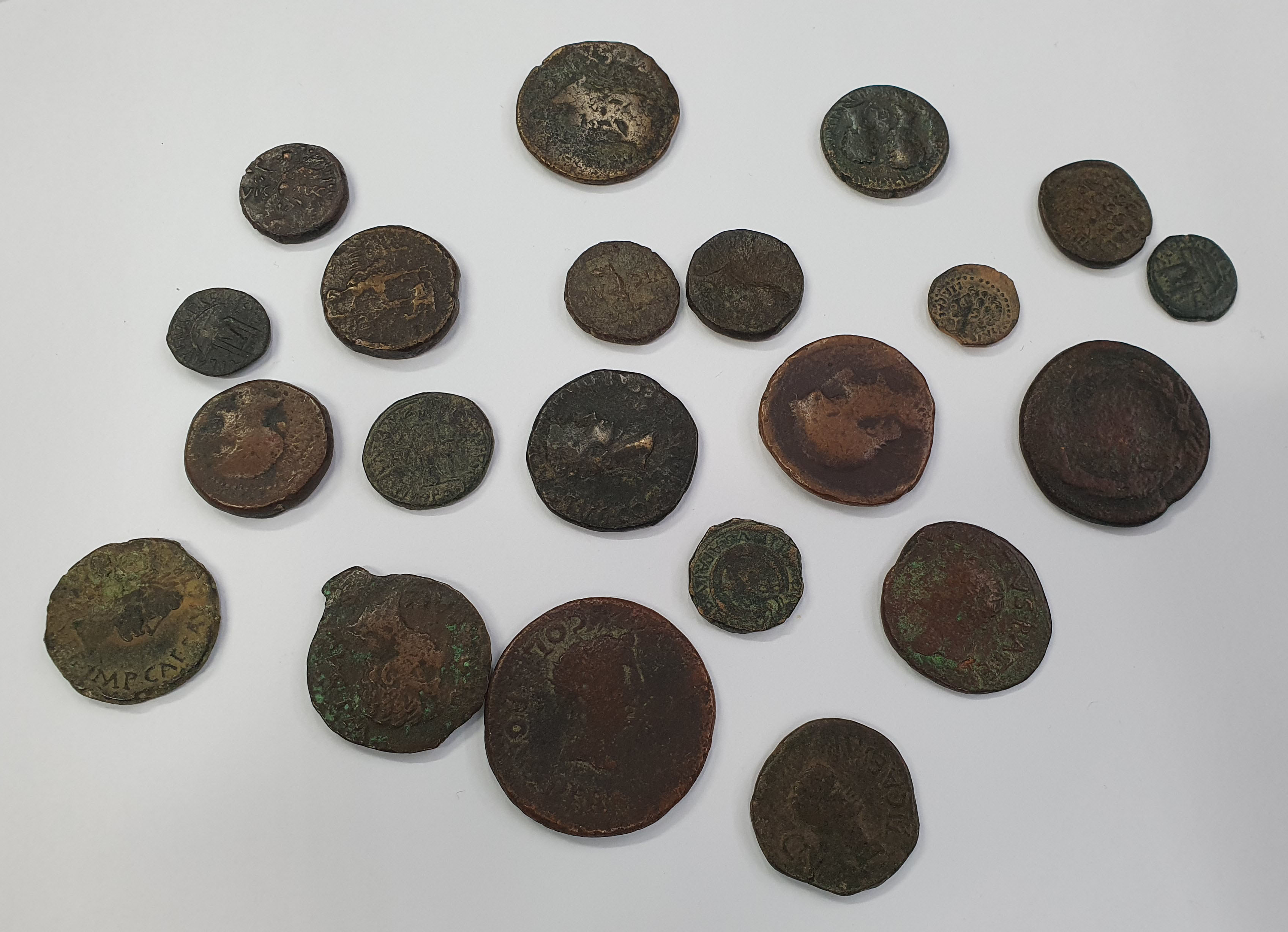 Group of 21 Augustus provincial AEs.