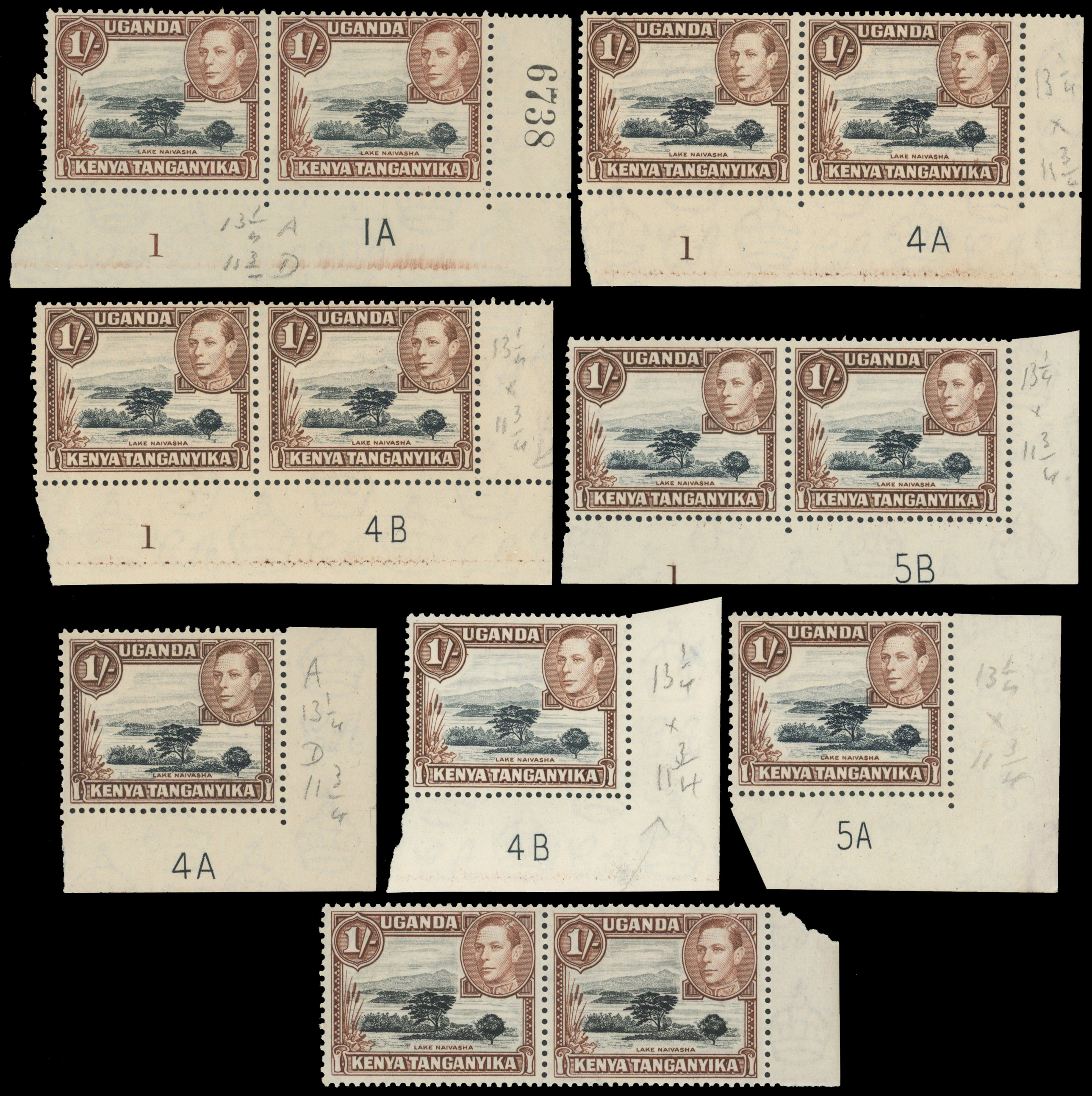 KUT SG 145-ba multiples mint