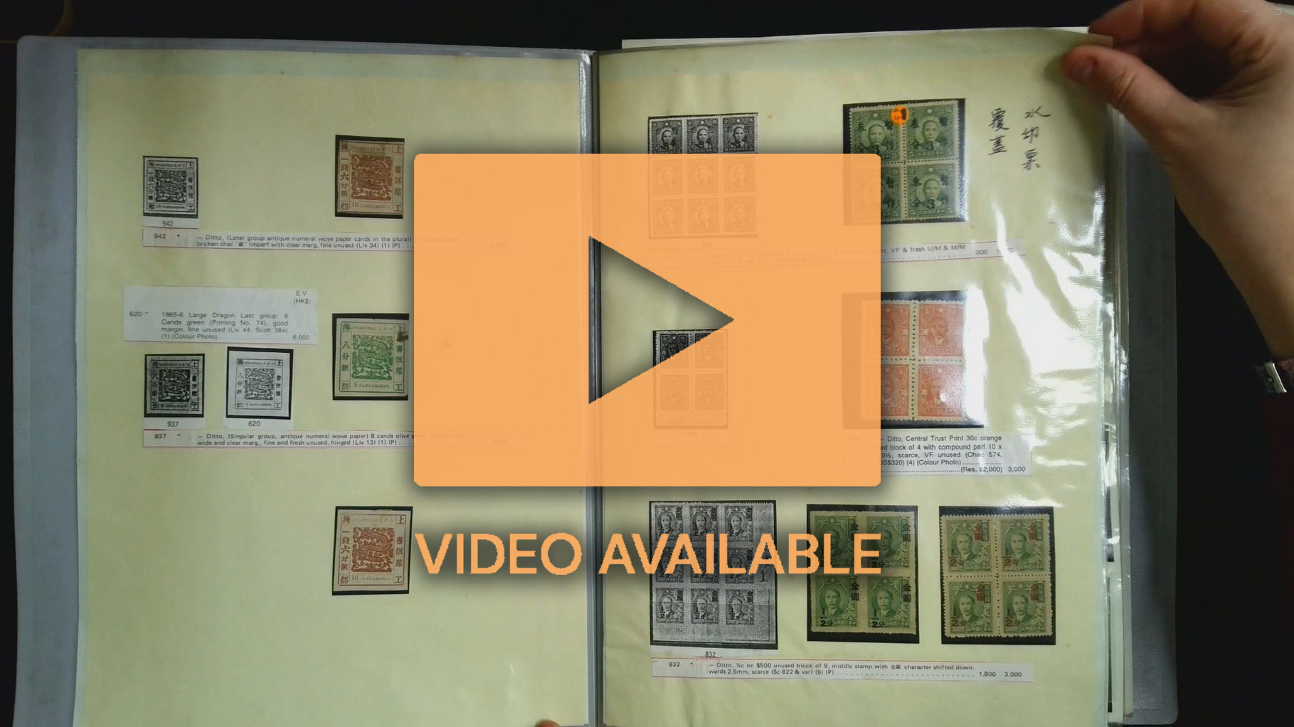 China accumulation in stockbook