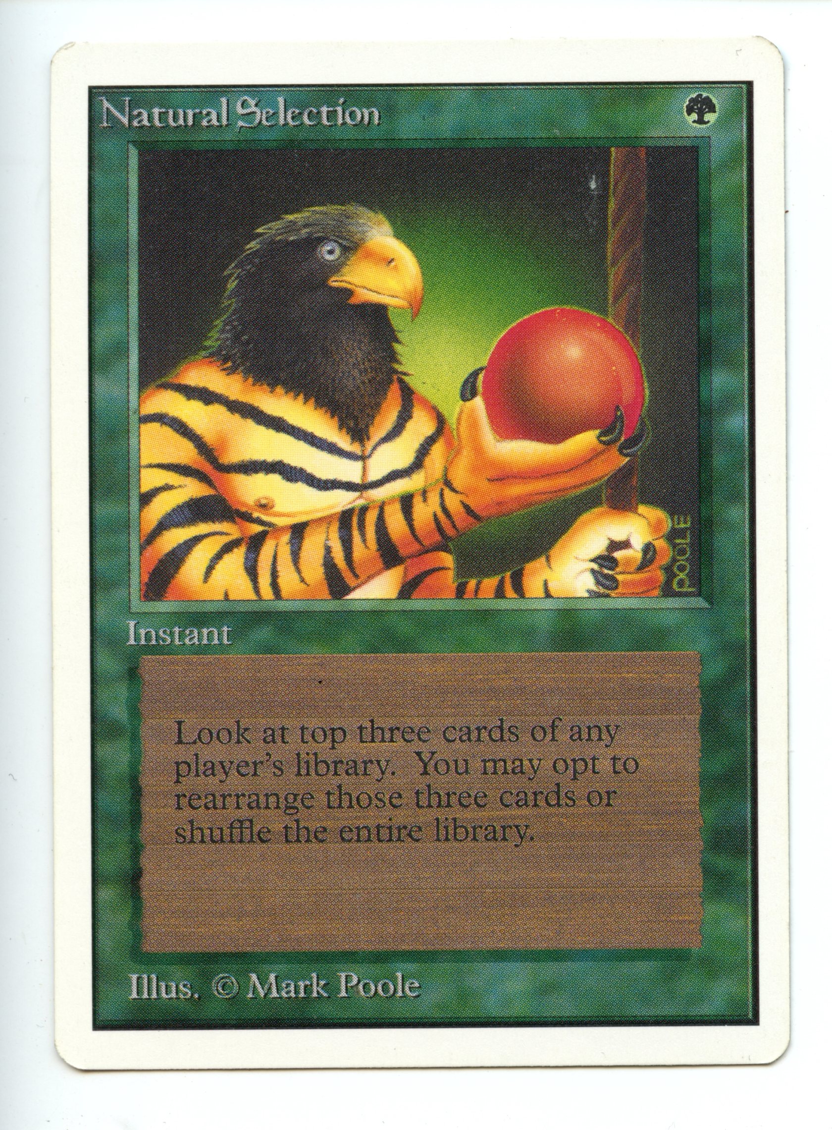 Magic the Gathering - Natural Selection - Unlimited - Lightly Played