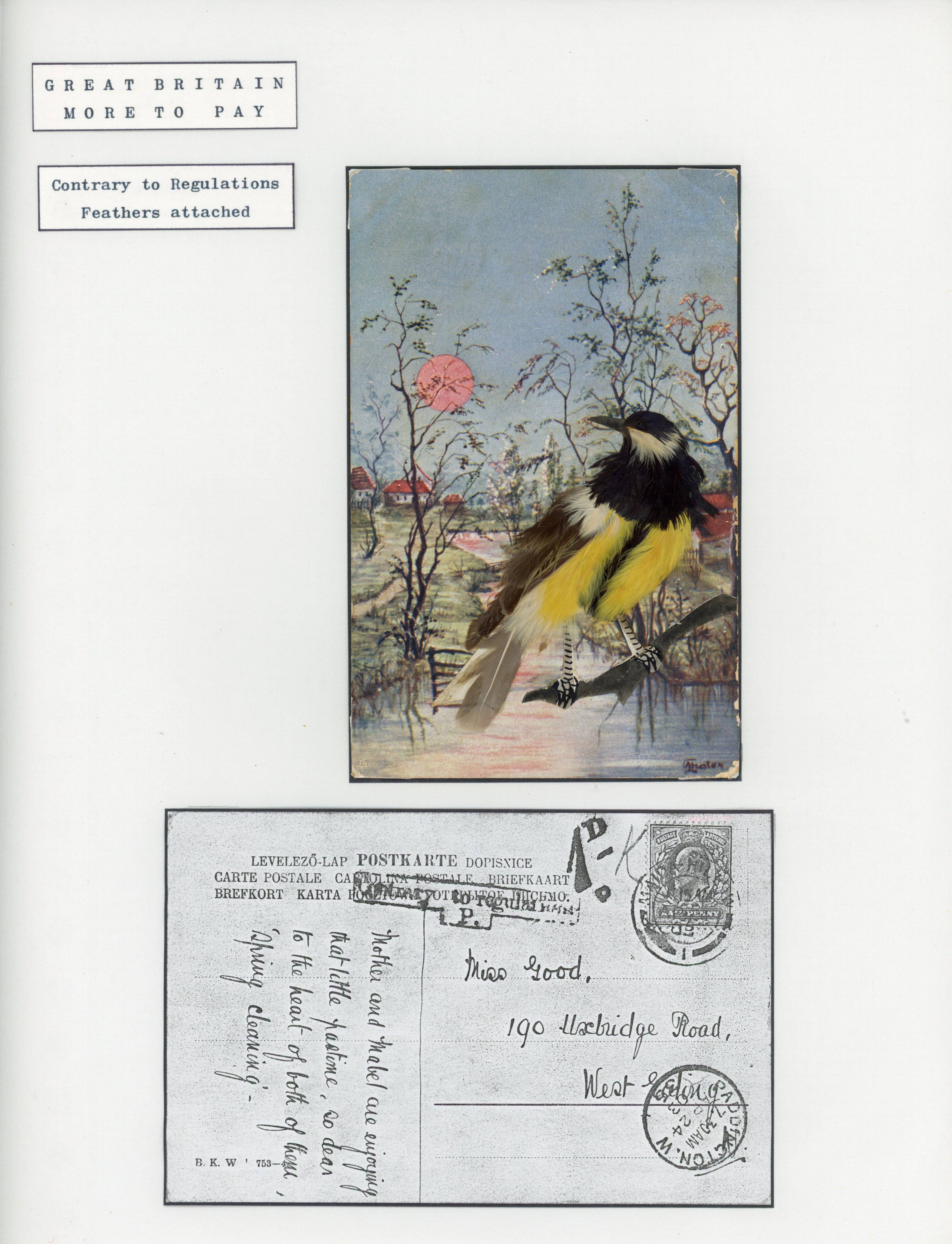Great Britain 1903 novelty postcard of a bird made of feathers