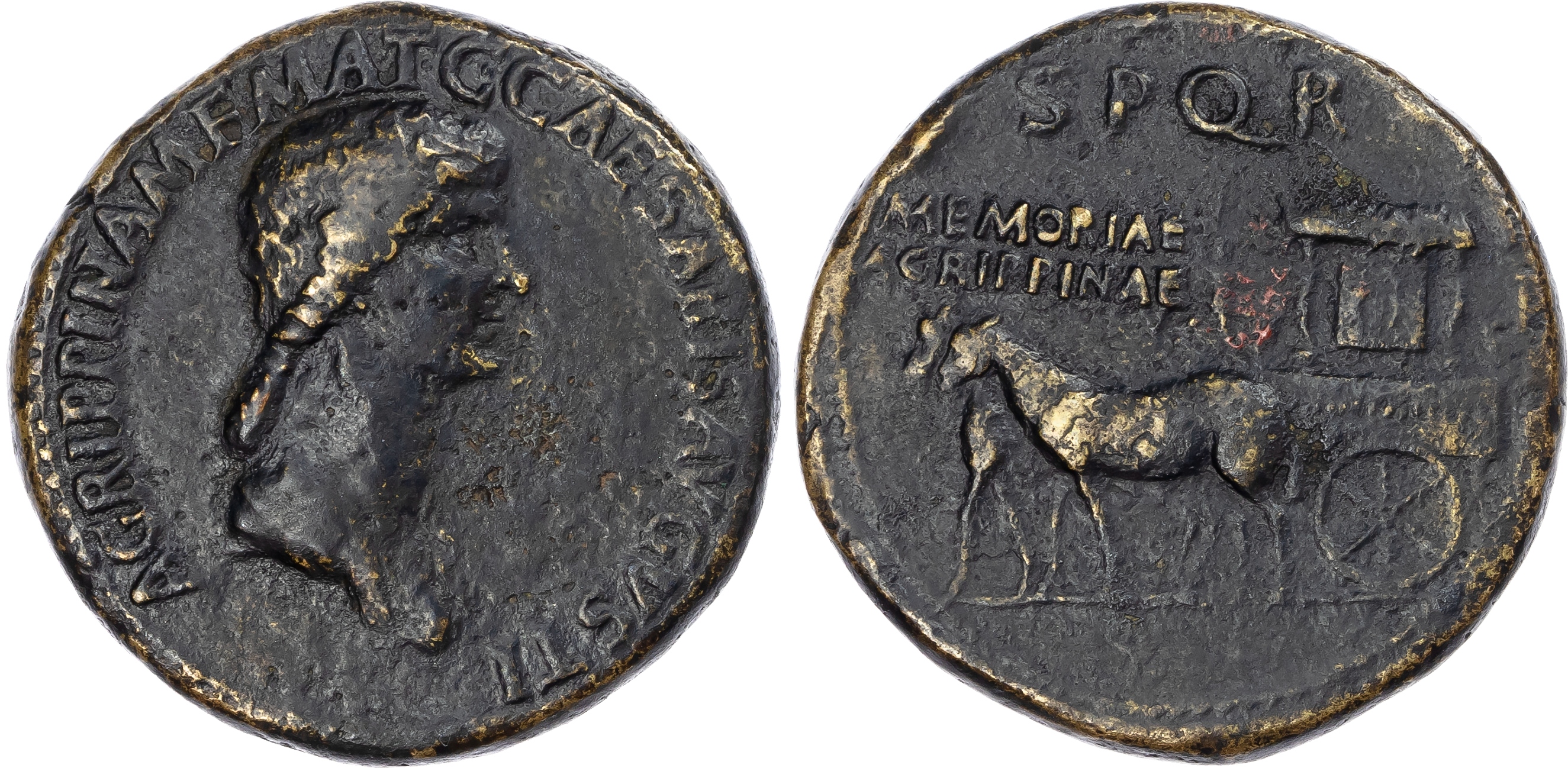 Agrippina I (Mother of Caligula) AE Sestertius, mint of Rome, struck under Caligula, AD 37-41, 26.96g. 