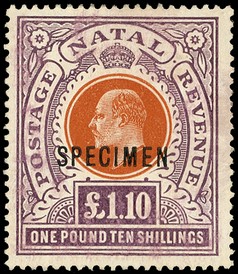 1908 £1/10/- brown-orange and deep purple overprinted SPECIMEN Type D12, large part cream o.g., slight traces of rubbing...
