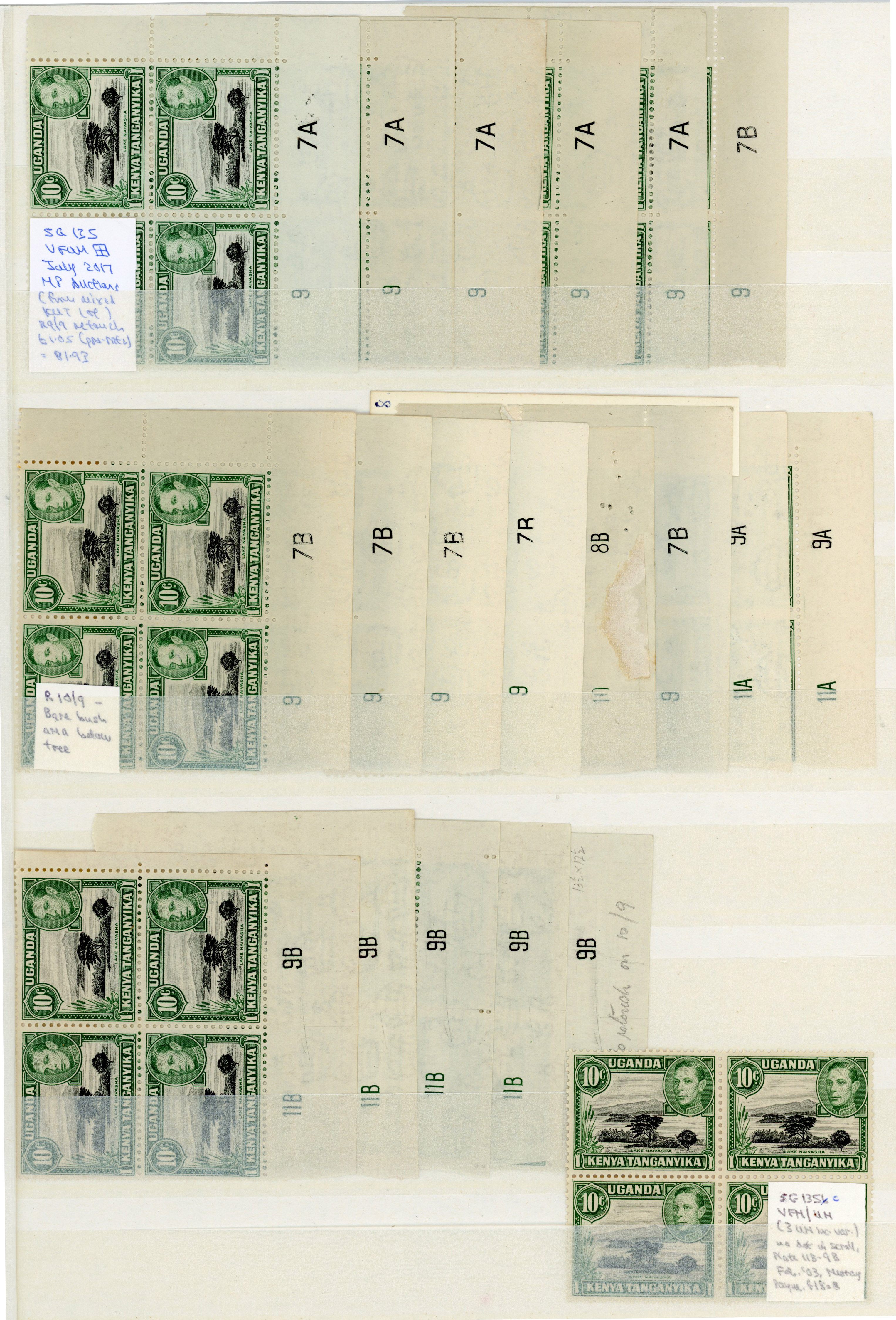 KUT SG 135, d multiples mint