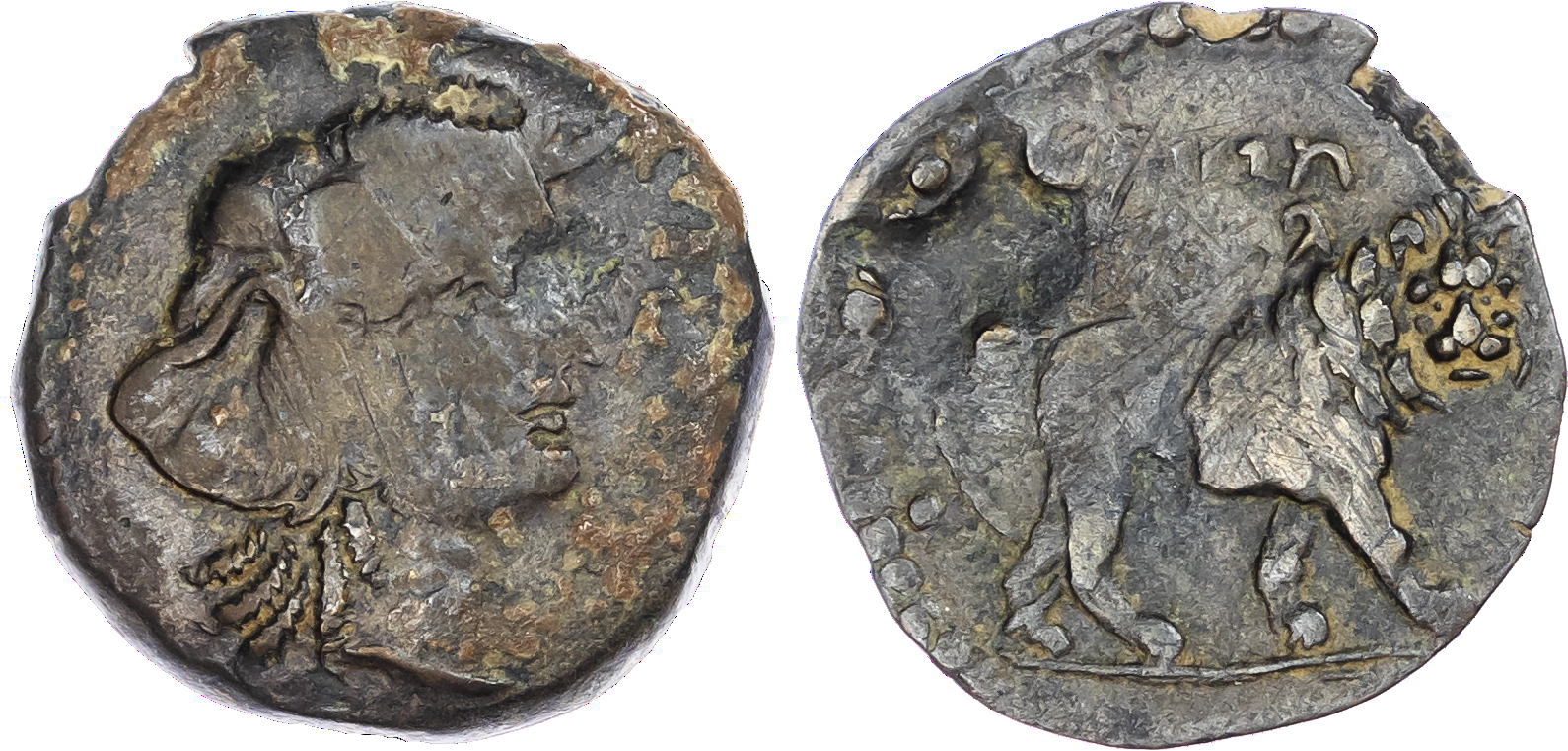 Kings of Numidia, Juba I (c. 60-46 BC) AE